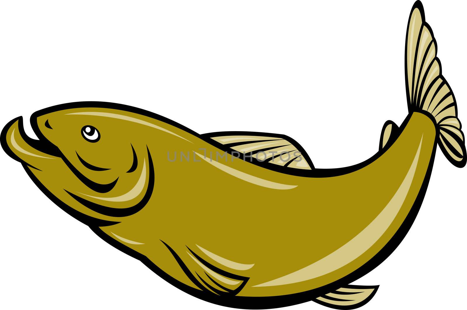 cartoon trout fish jumping side by patrimonio