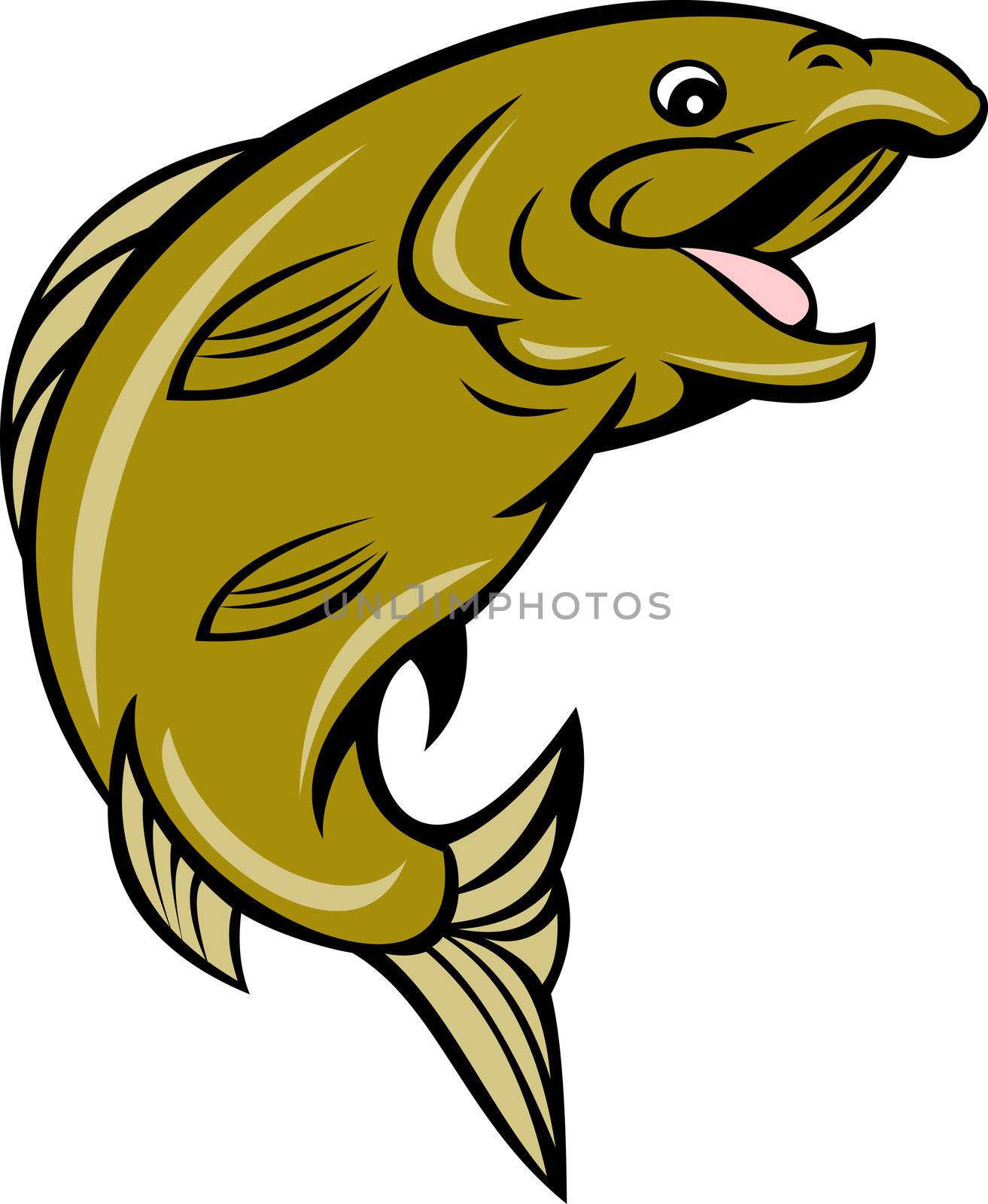 cartoon trout fish jumping side by patrimonio