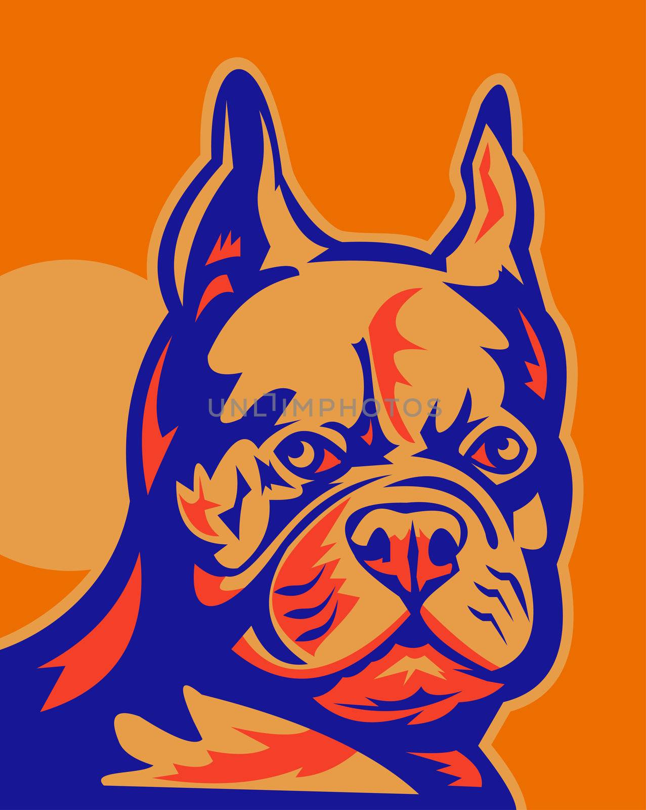retro style vector illustration of a French Bulldog portrait looking to front. The dogs are commonly called the Frenchie and are nicknamed "clowns" and "frog dogs".