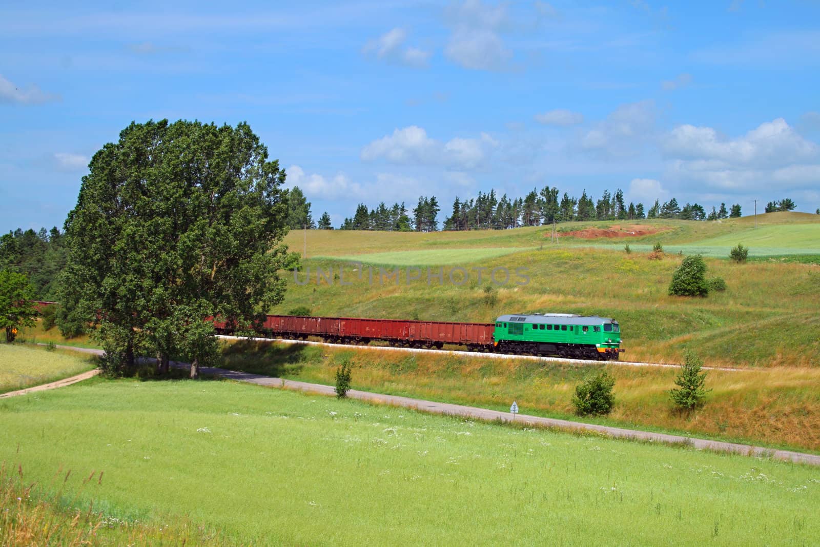 Rural summer landscape with freight train hauled by the diesel locomotive