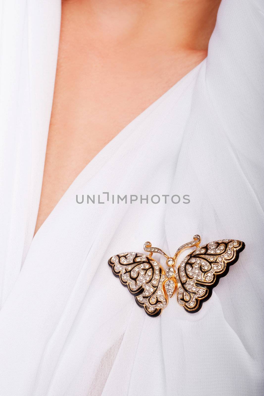 precious butterfly by igor_stramyk