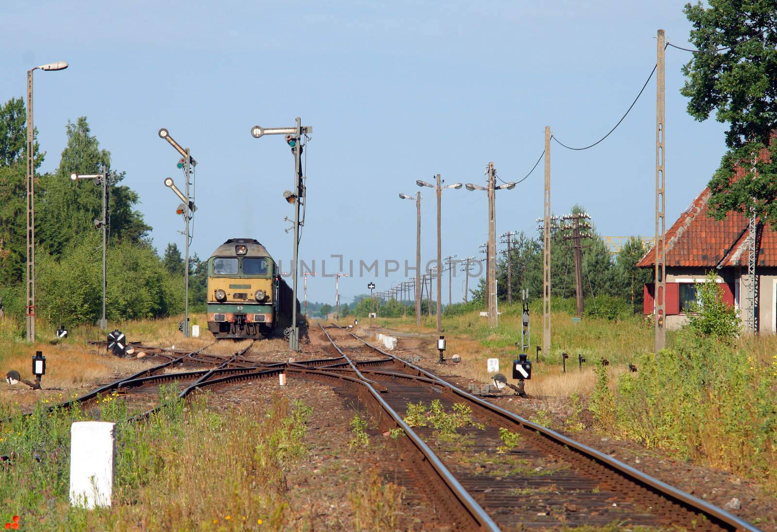Rural summer landscape with freight train starting from the station