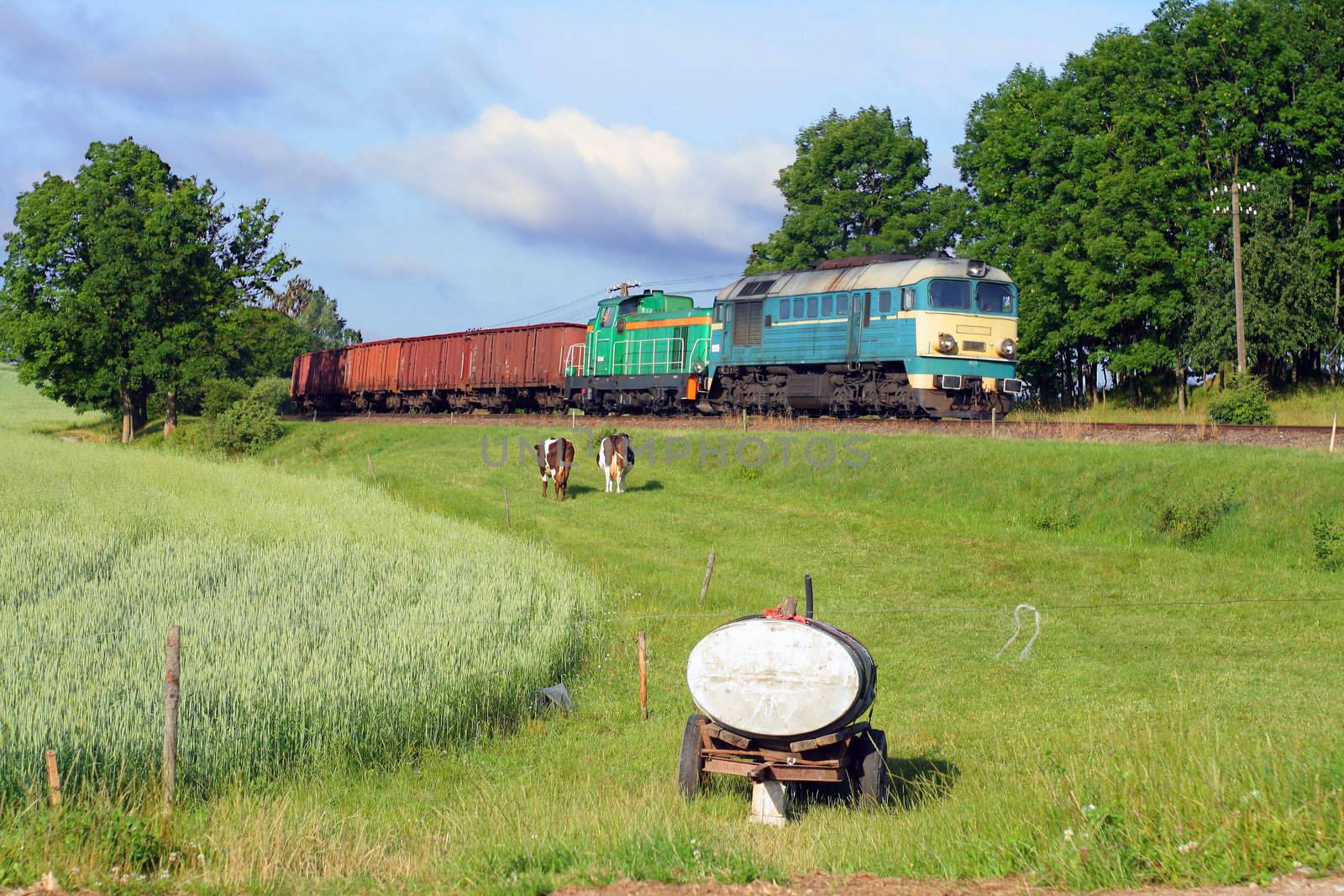 Heavy goods train passing the meadows with cows and water tank