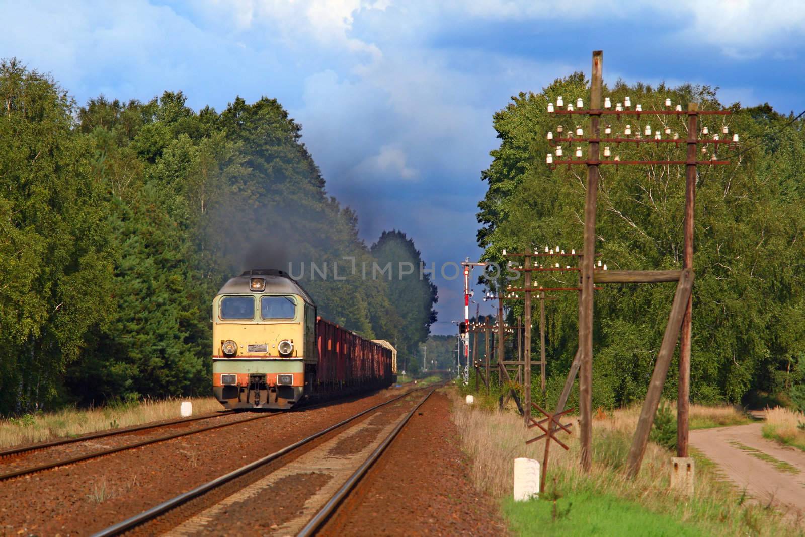 Freight train hauled by the diesel locomotive is passing the forest