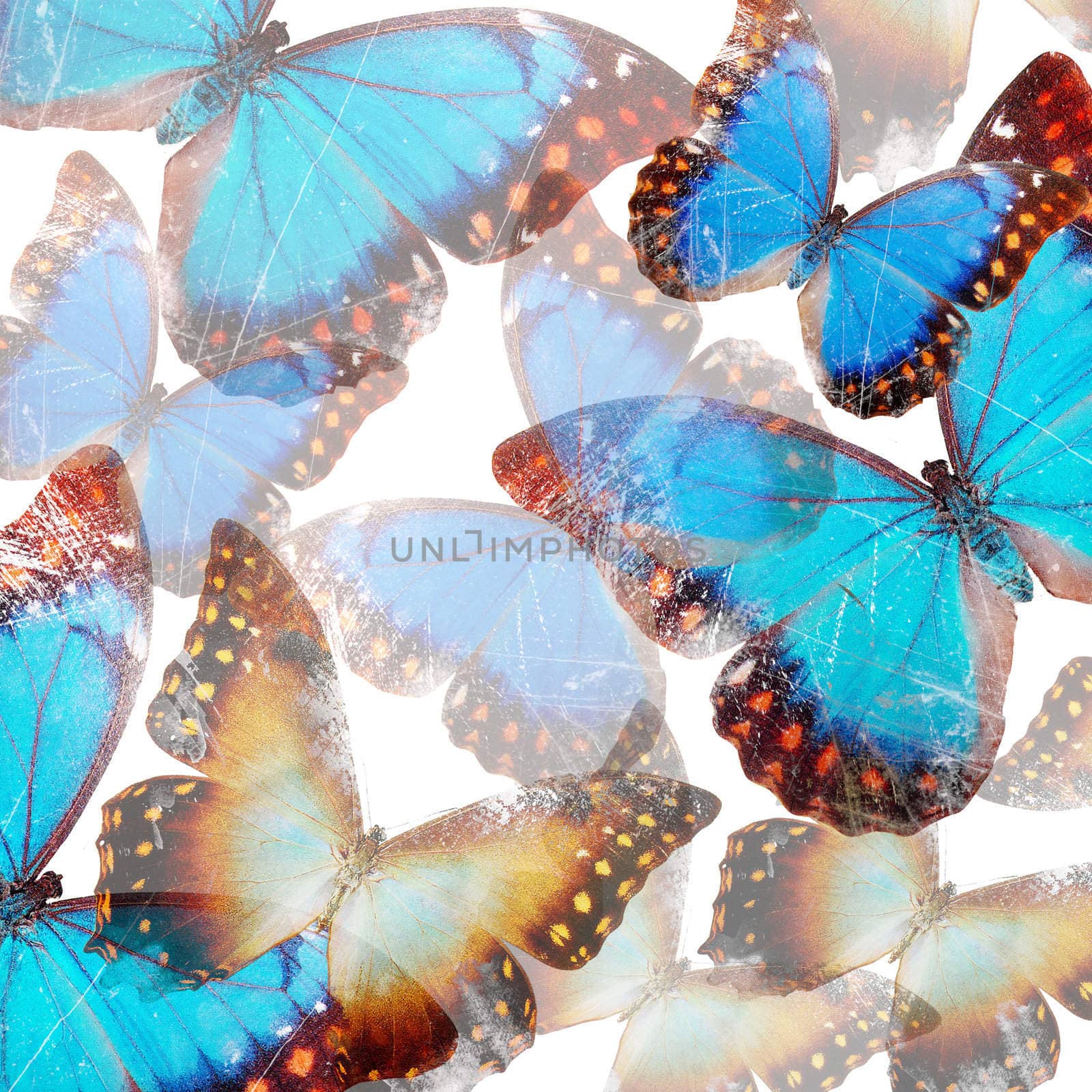 decorative background with butterflies