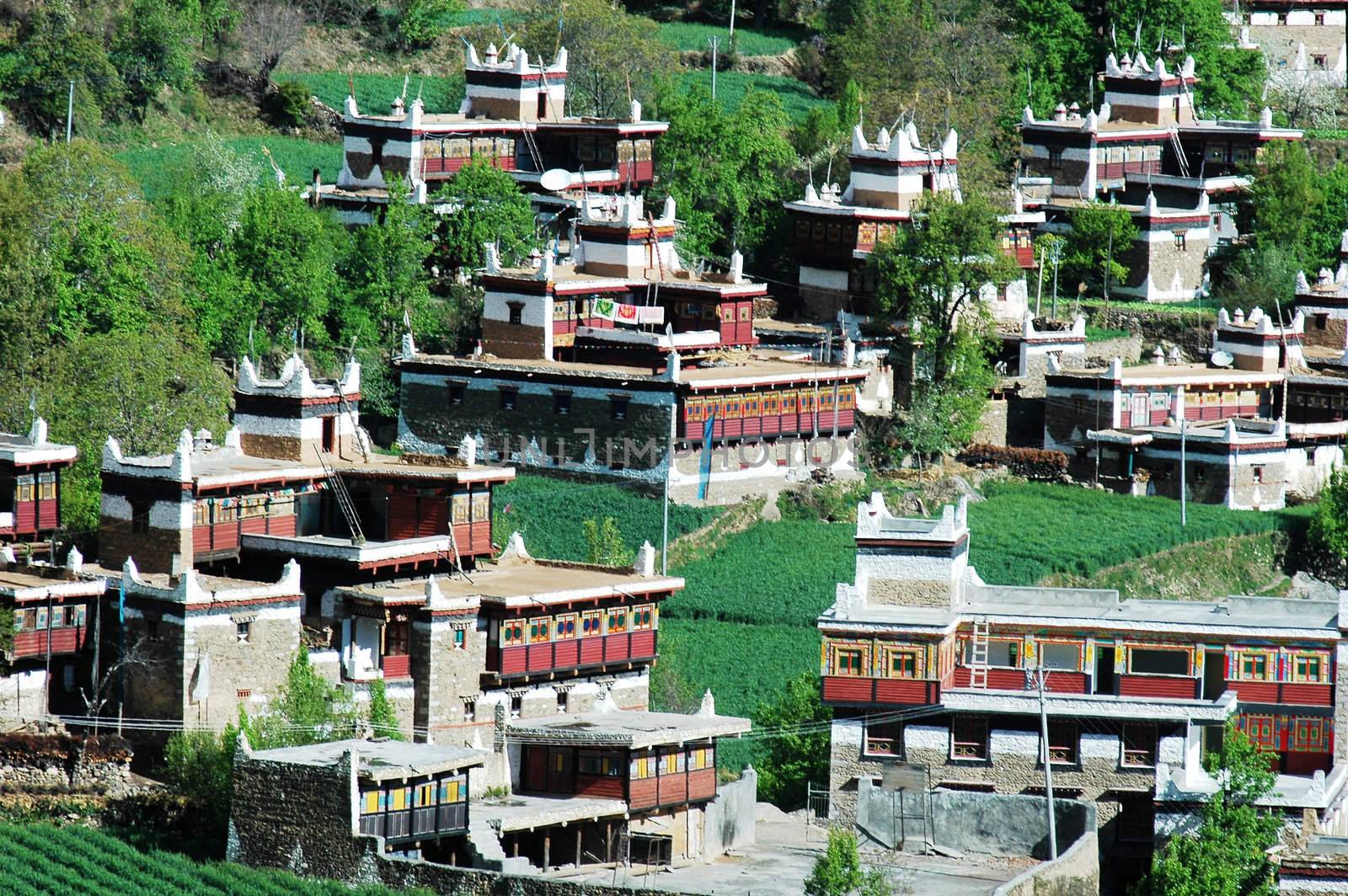 Landmarks of local traditional buildings in a Tibetan village
