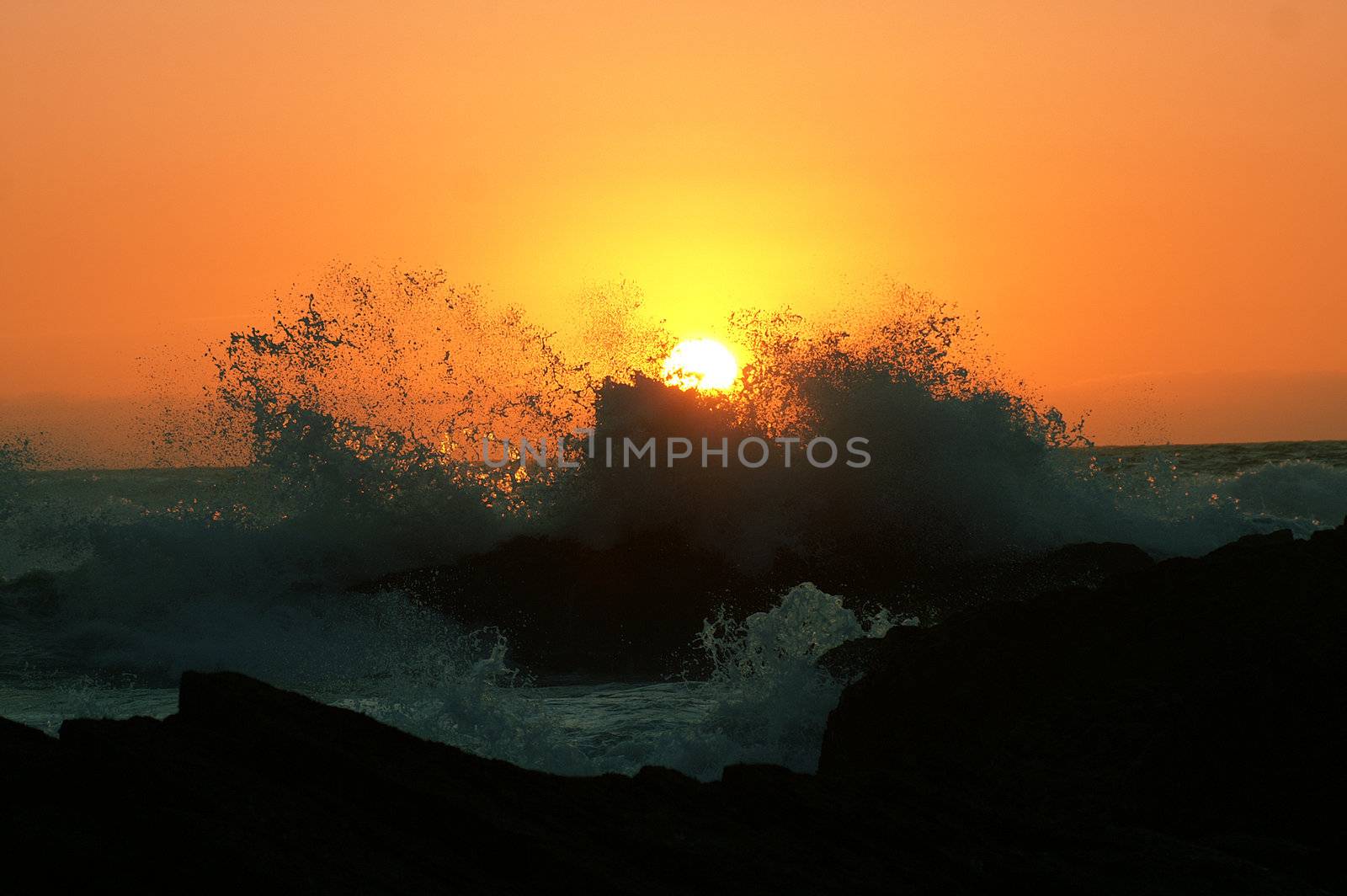 Windy sunset