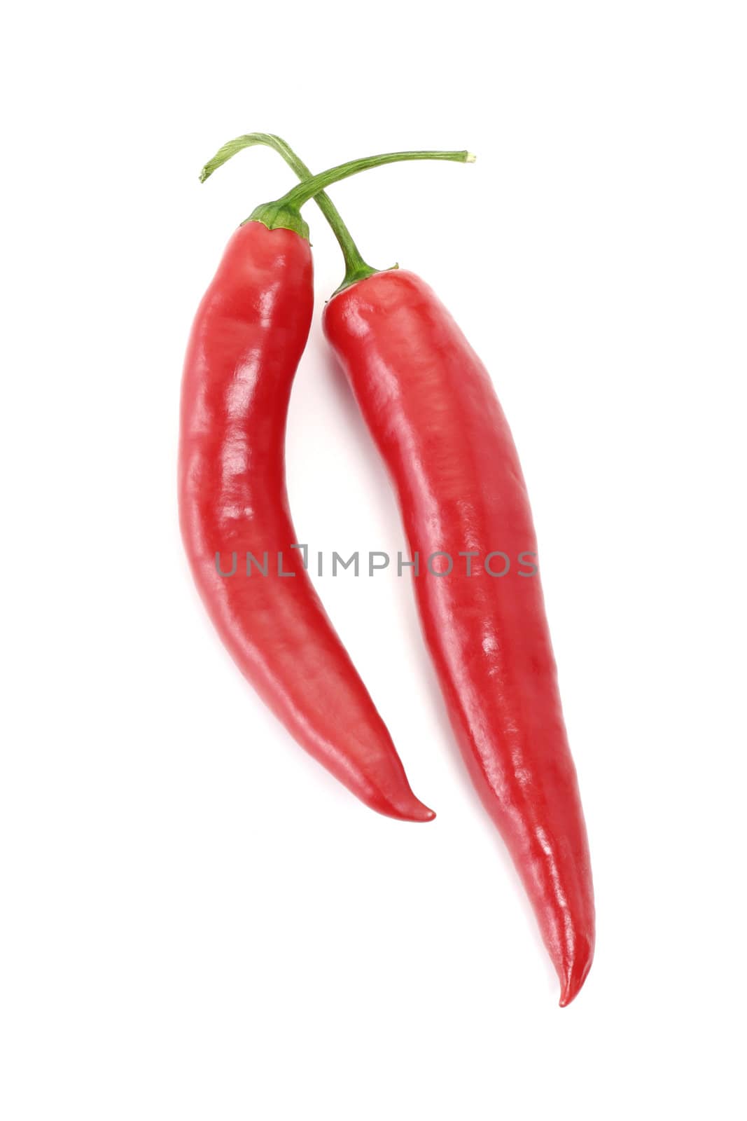 Red hot chili pepper on white