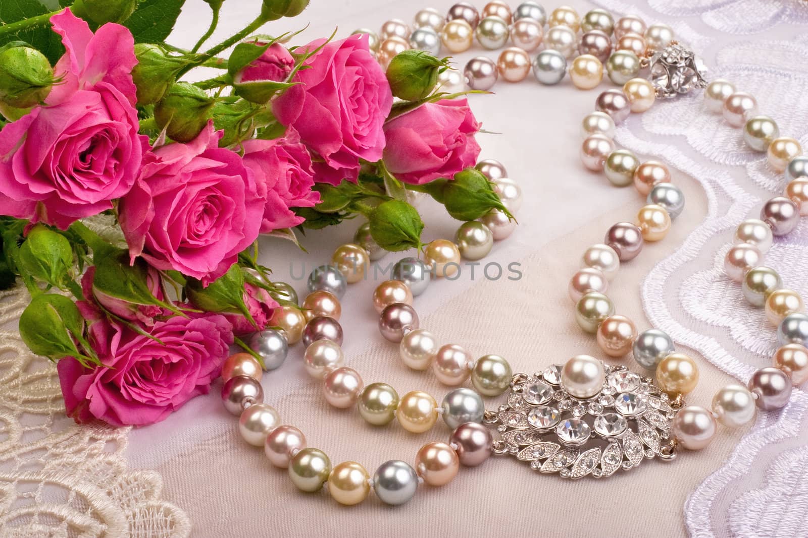 Roses and luxury closeup by igor_stramyk