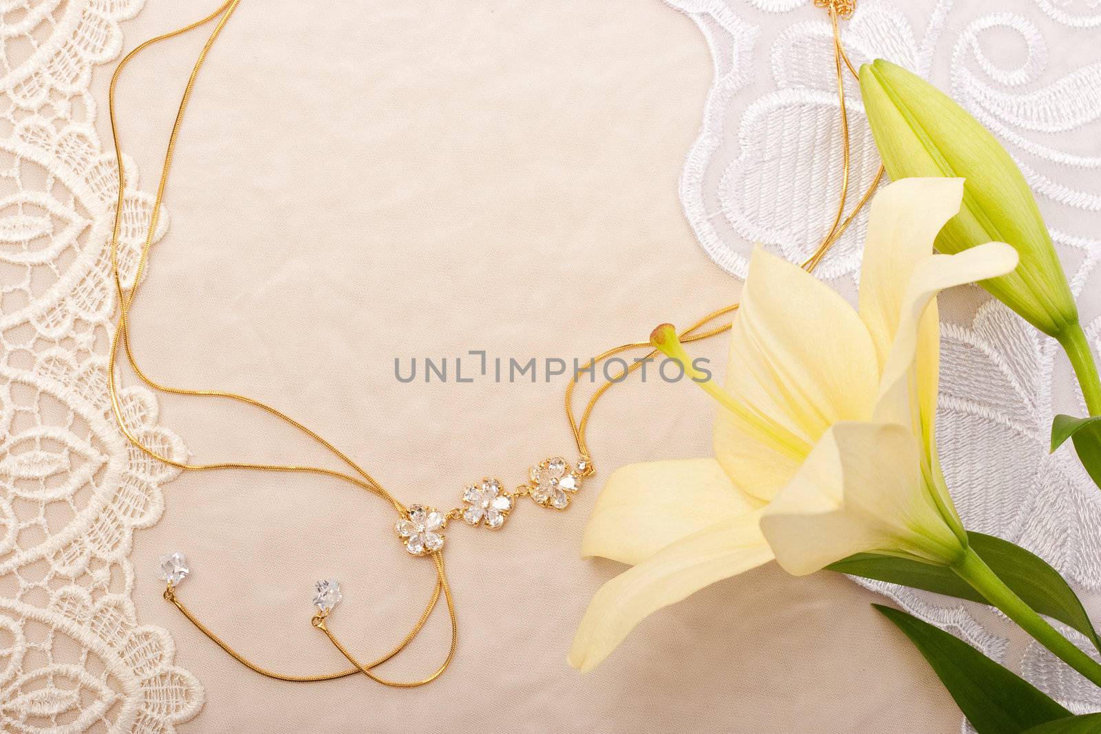 Chain and lily on lace background