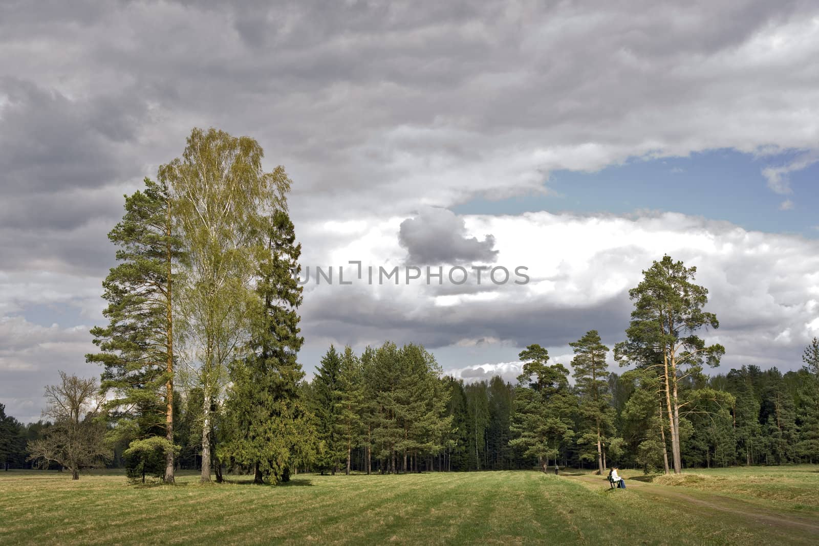 Cloudy day in the park by mulden