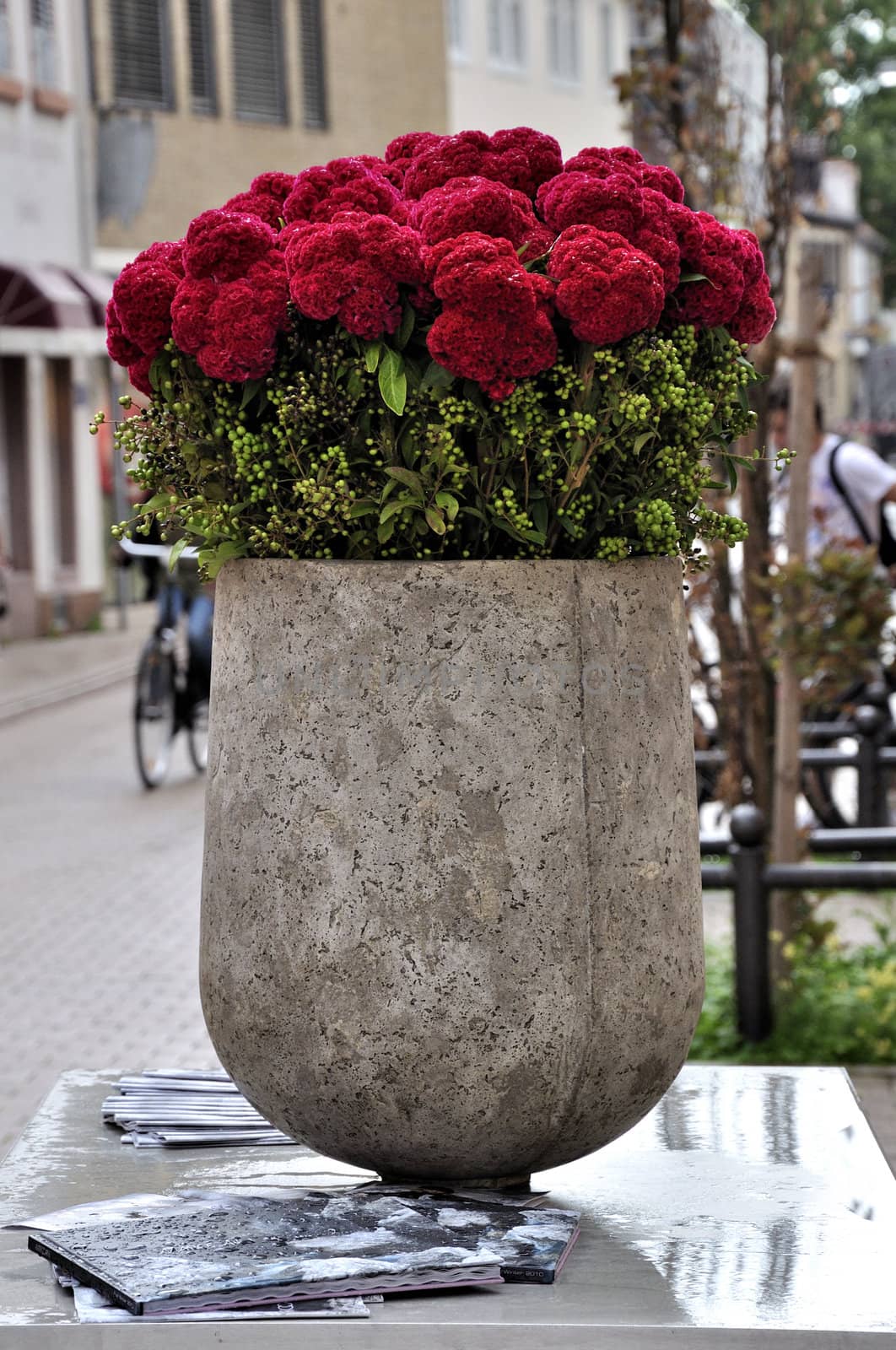Beautiful red flowers in a vase on the table outside
