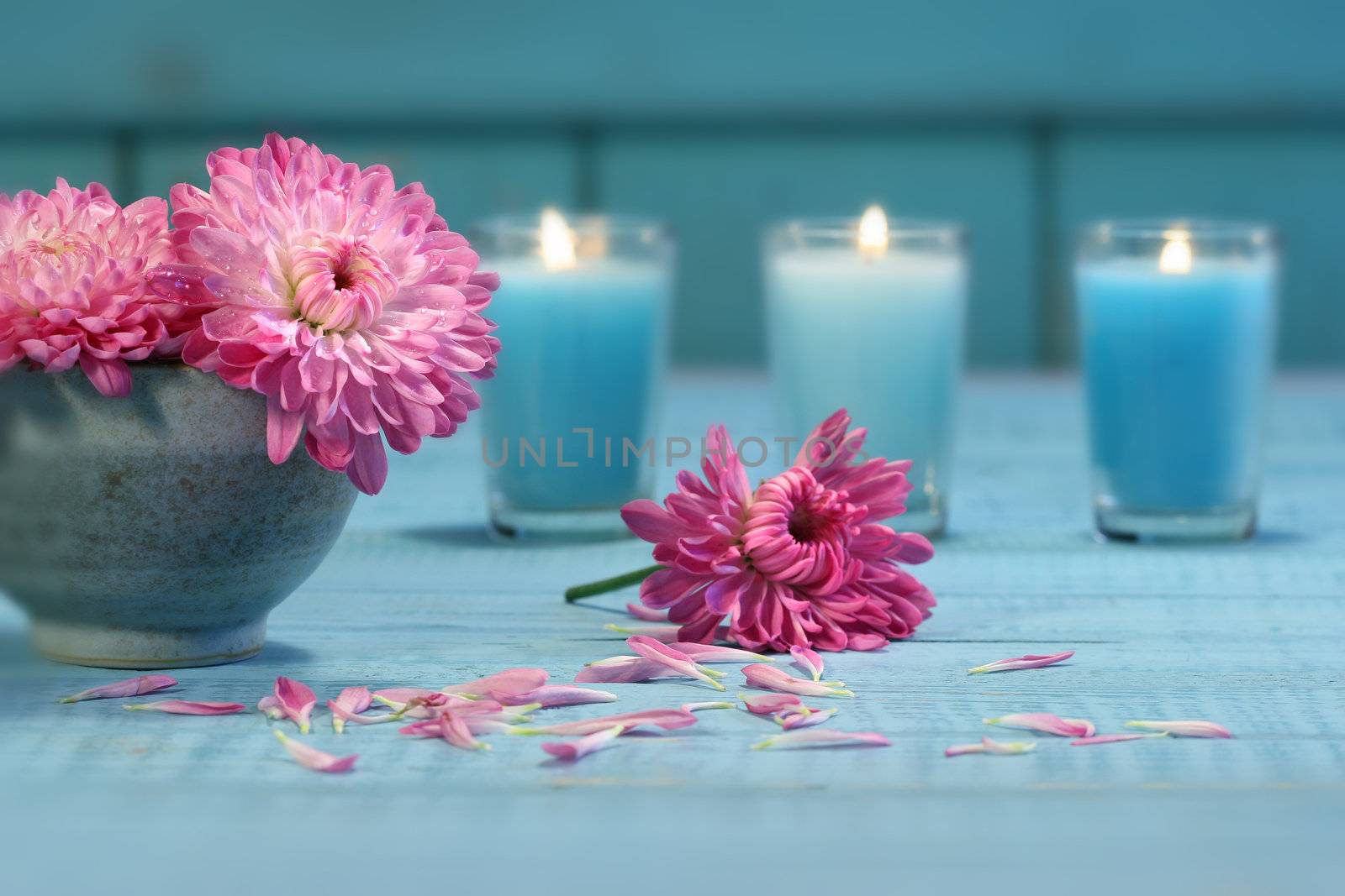 Pink chrysanthemum flowers with candles by Sandralise