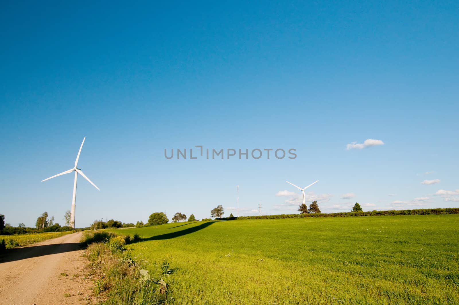 Shot of beautiful landscape, green grass and blue sky