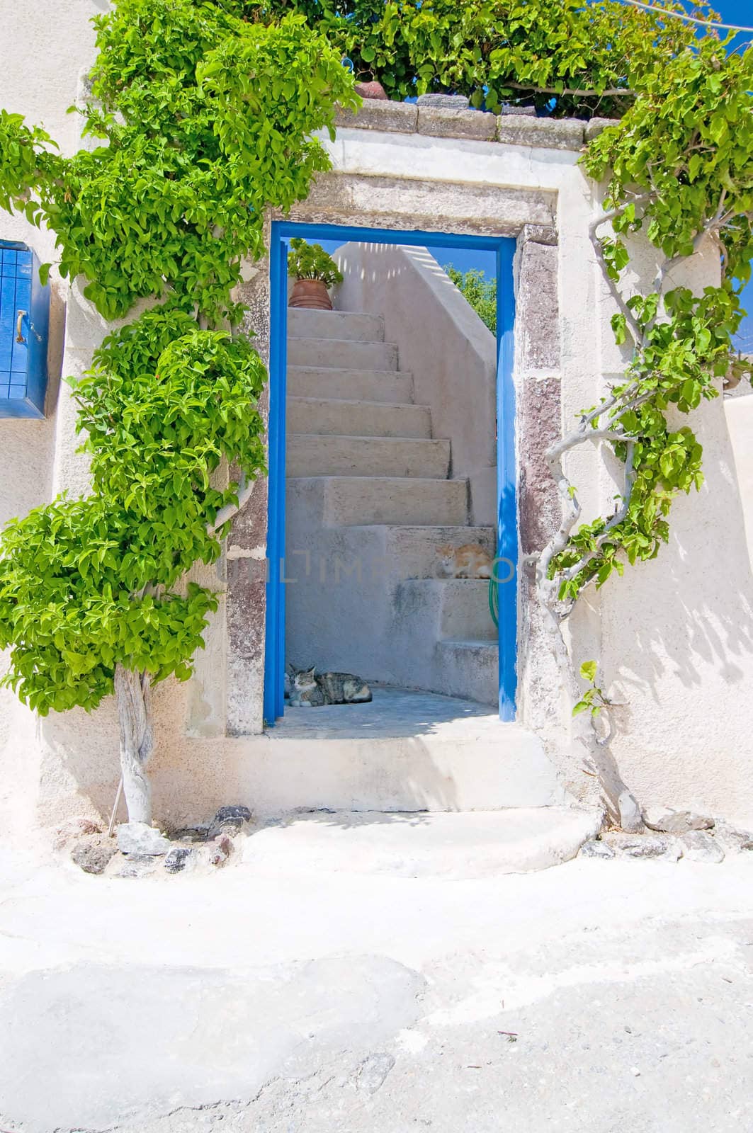 Unique Santorini architecture, beautiful buildings and green tree