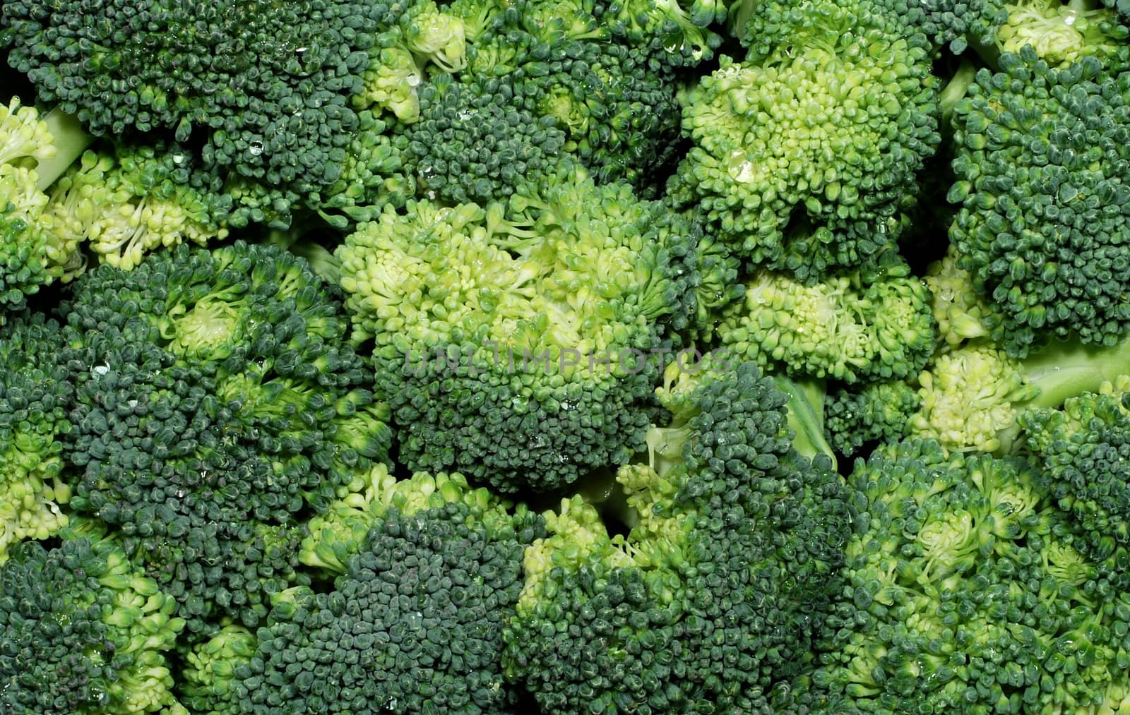 Fresh green raw broccoli piled up and washed