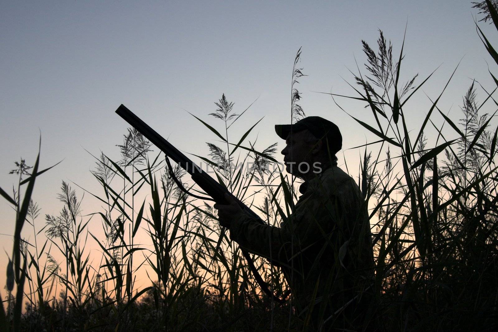 Silhouette of the hunter on a background of a morning dawn