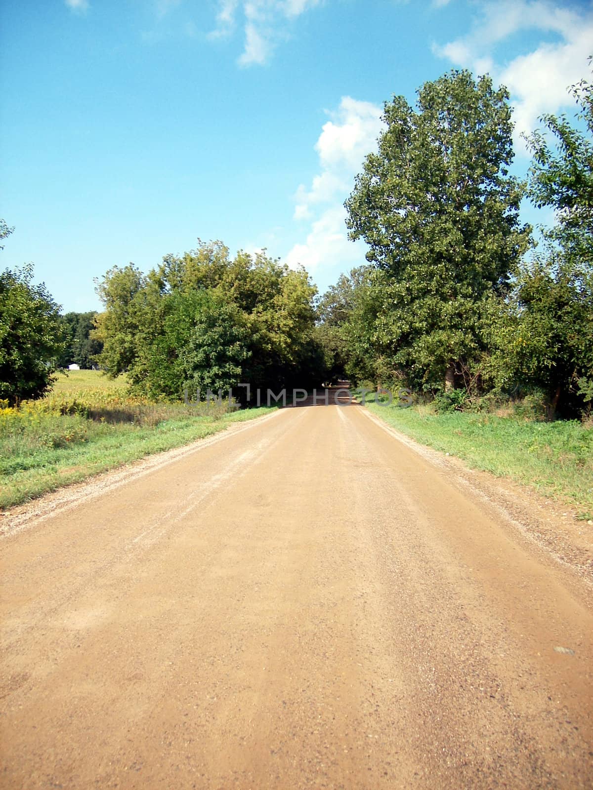 A simple shot of a country road with whispy skies above and a trees ahead.