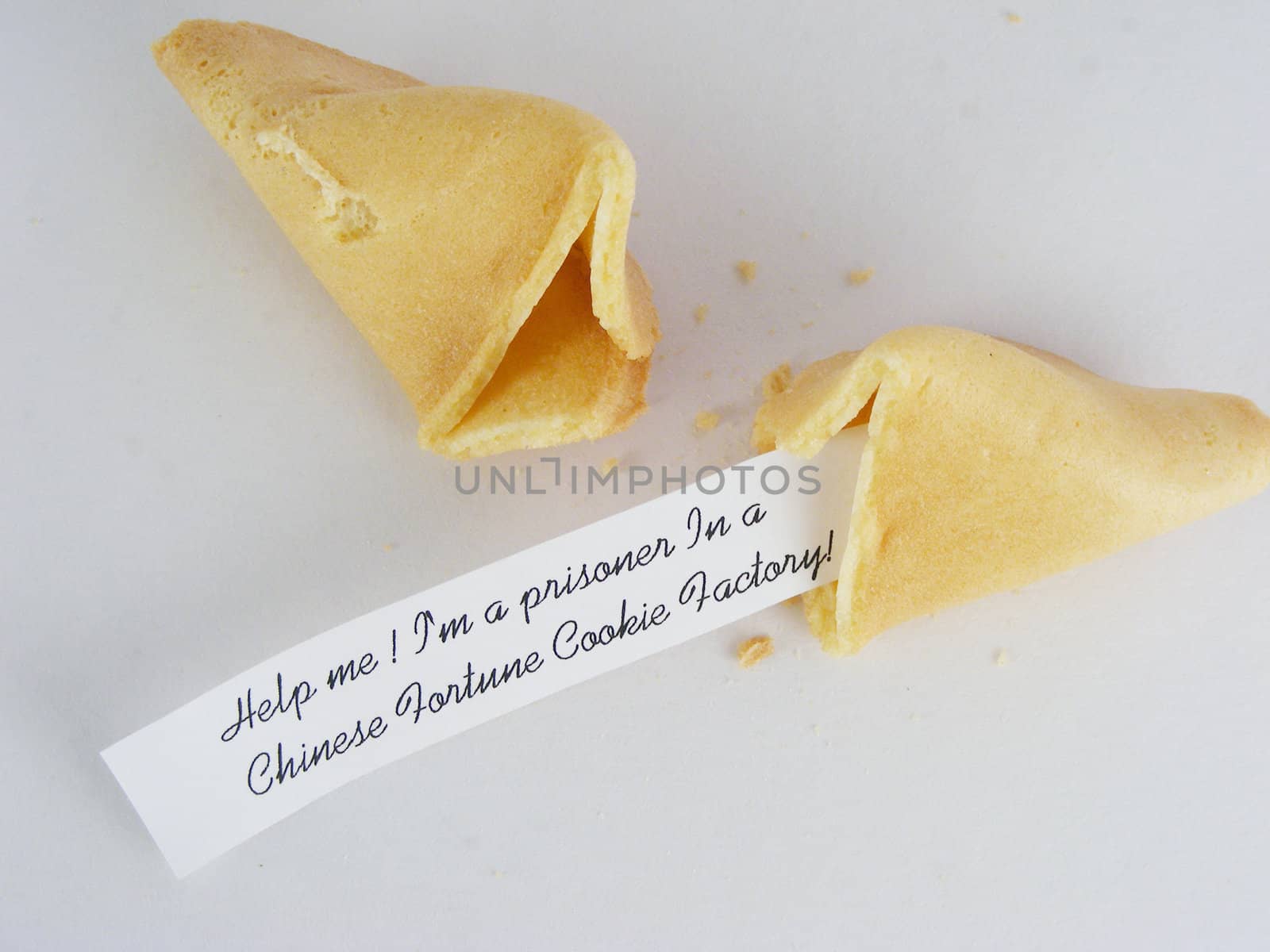 Fortune Cookie by pywrit