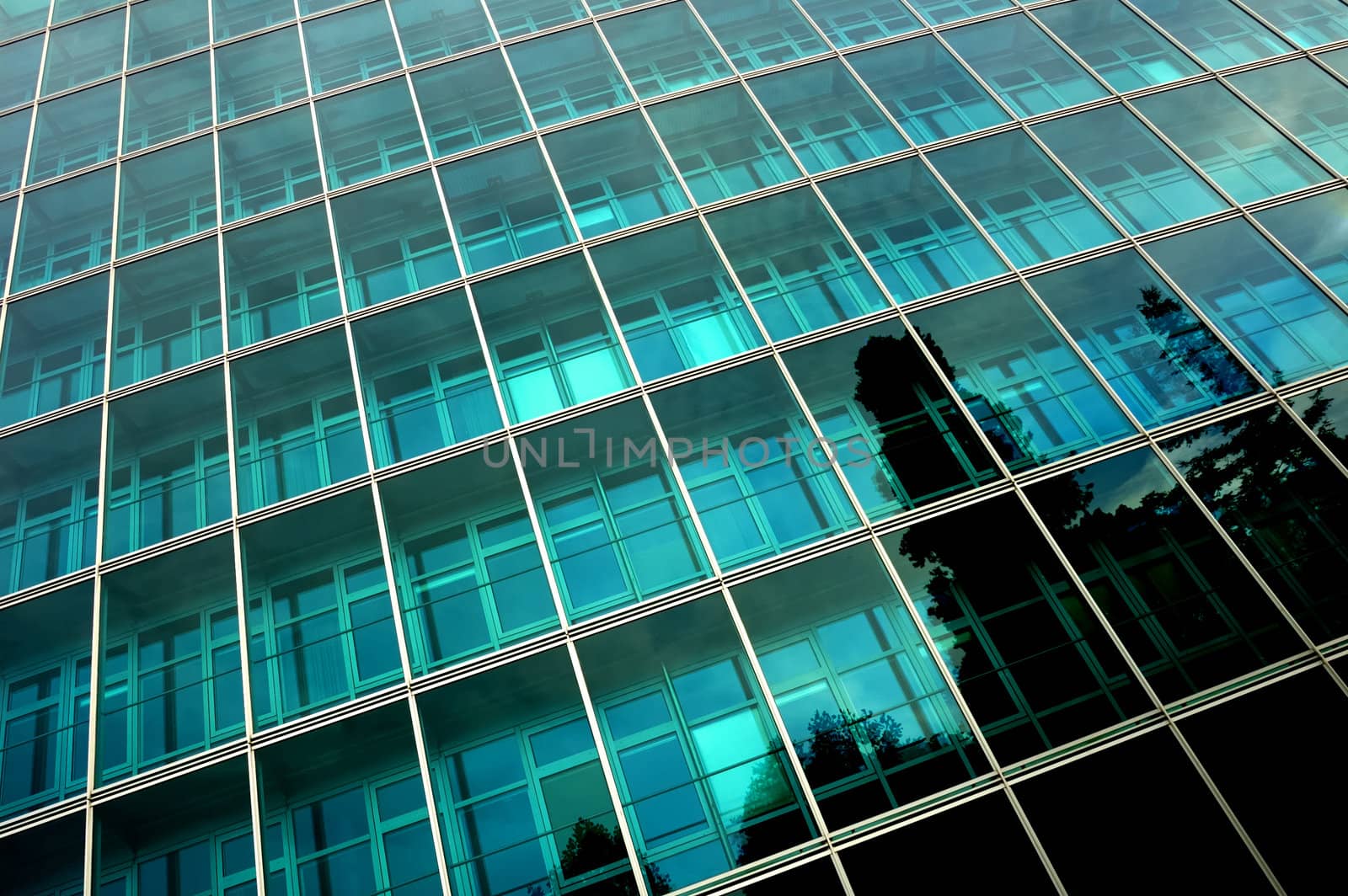 Reflections of trees in the side of a towering, glass-fronted office block