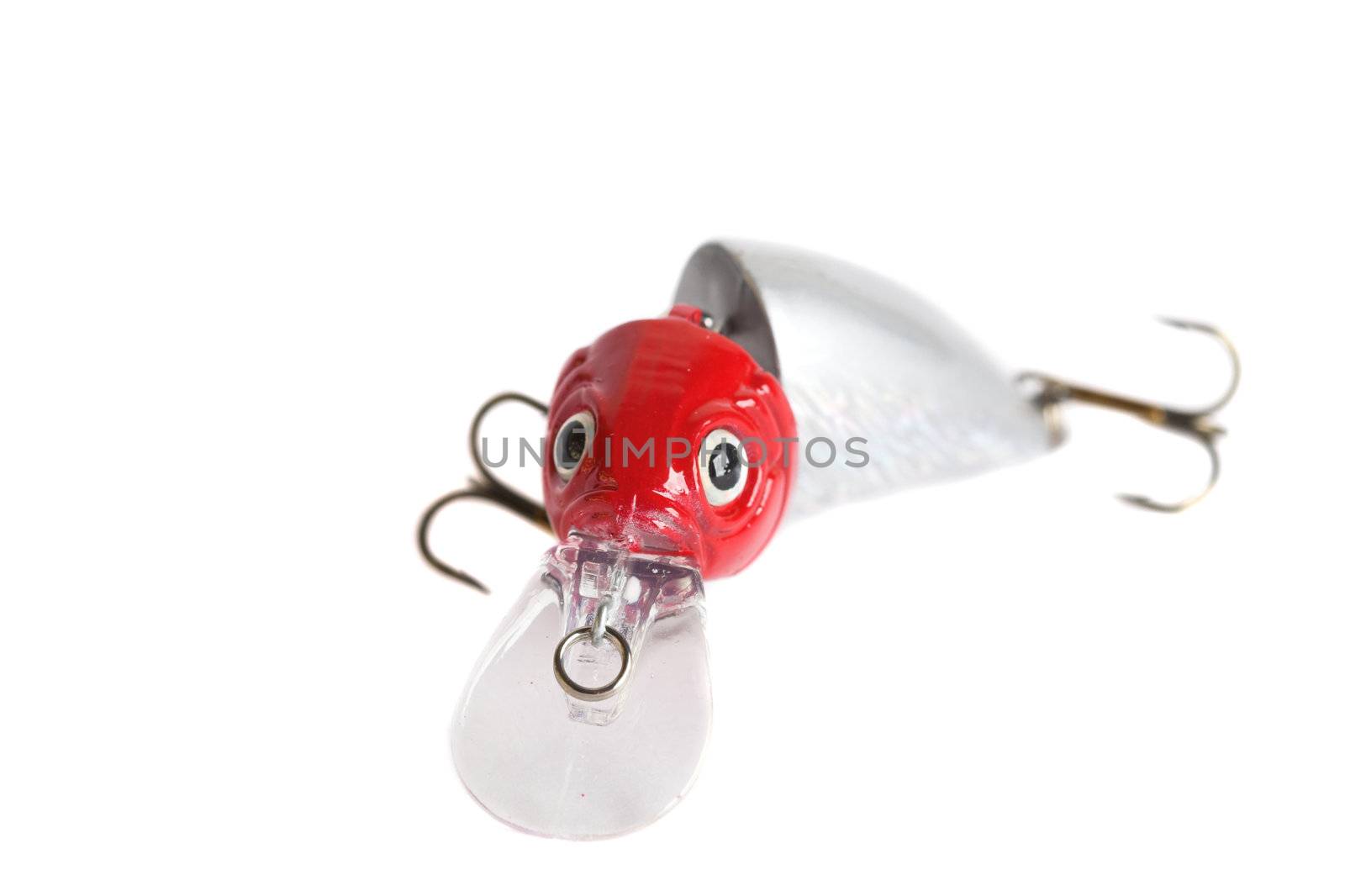 Fishing lure used to fish on predator fish