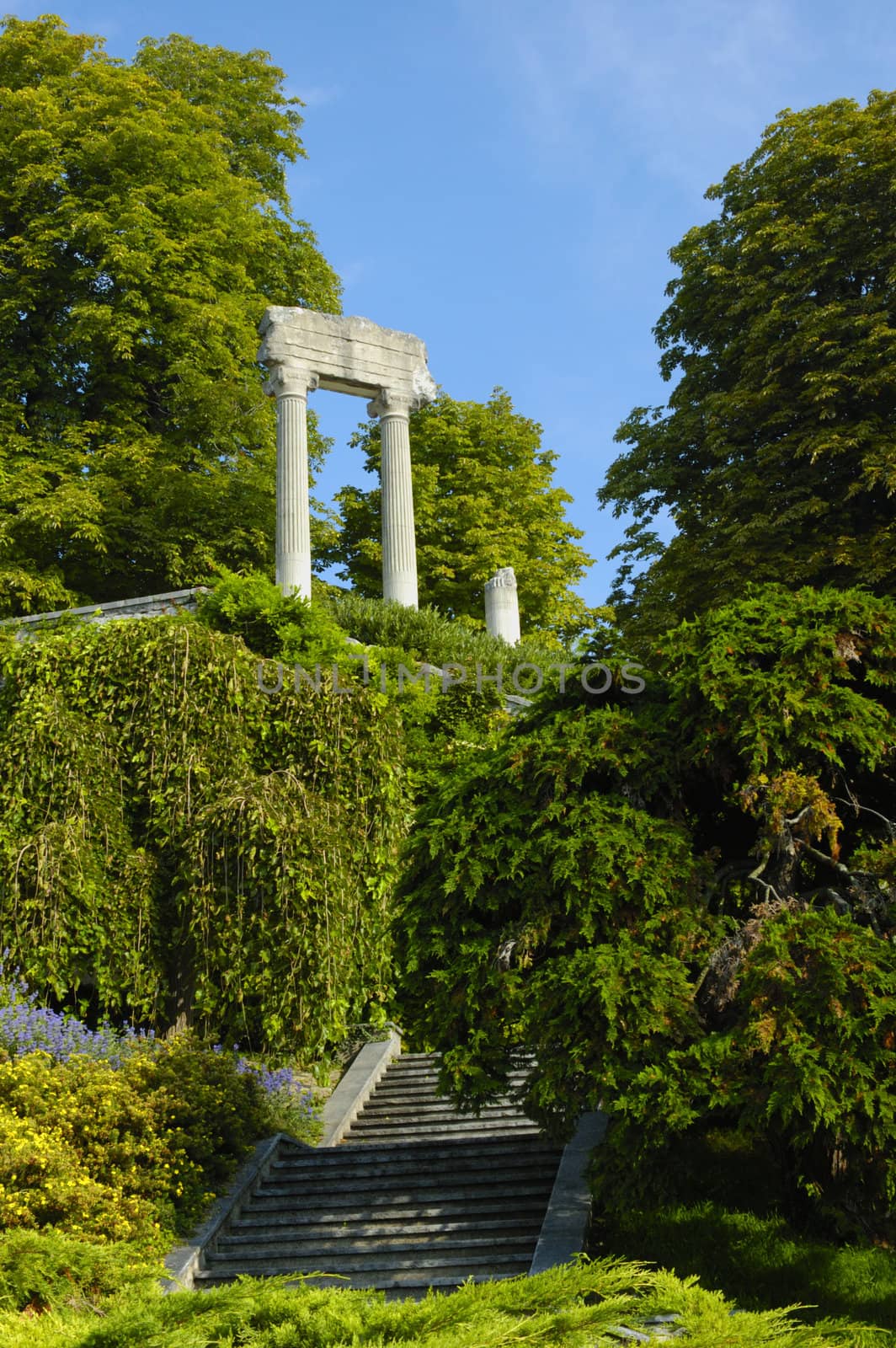 The remains of a Roman building standing isolated and mysterious, in the woods, with steps leading up towards them. Space for text in the sky.