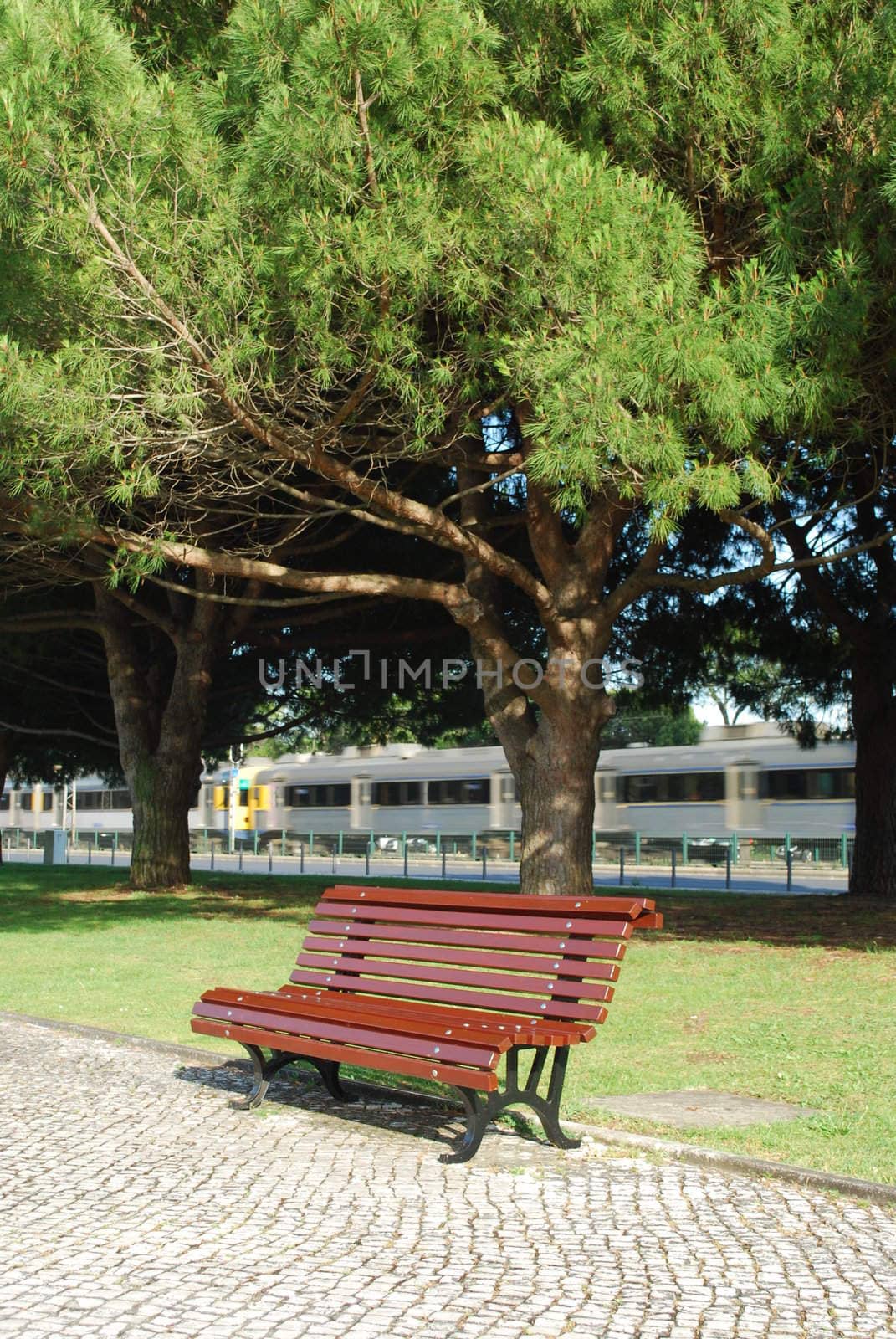 enchanted park view of a bench with a gorgeous tree and a train passing by