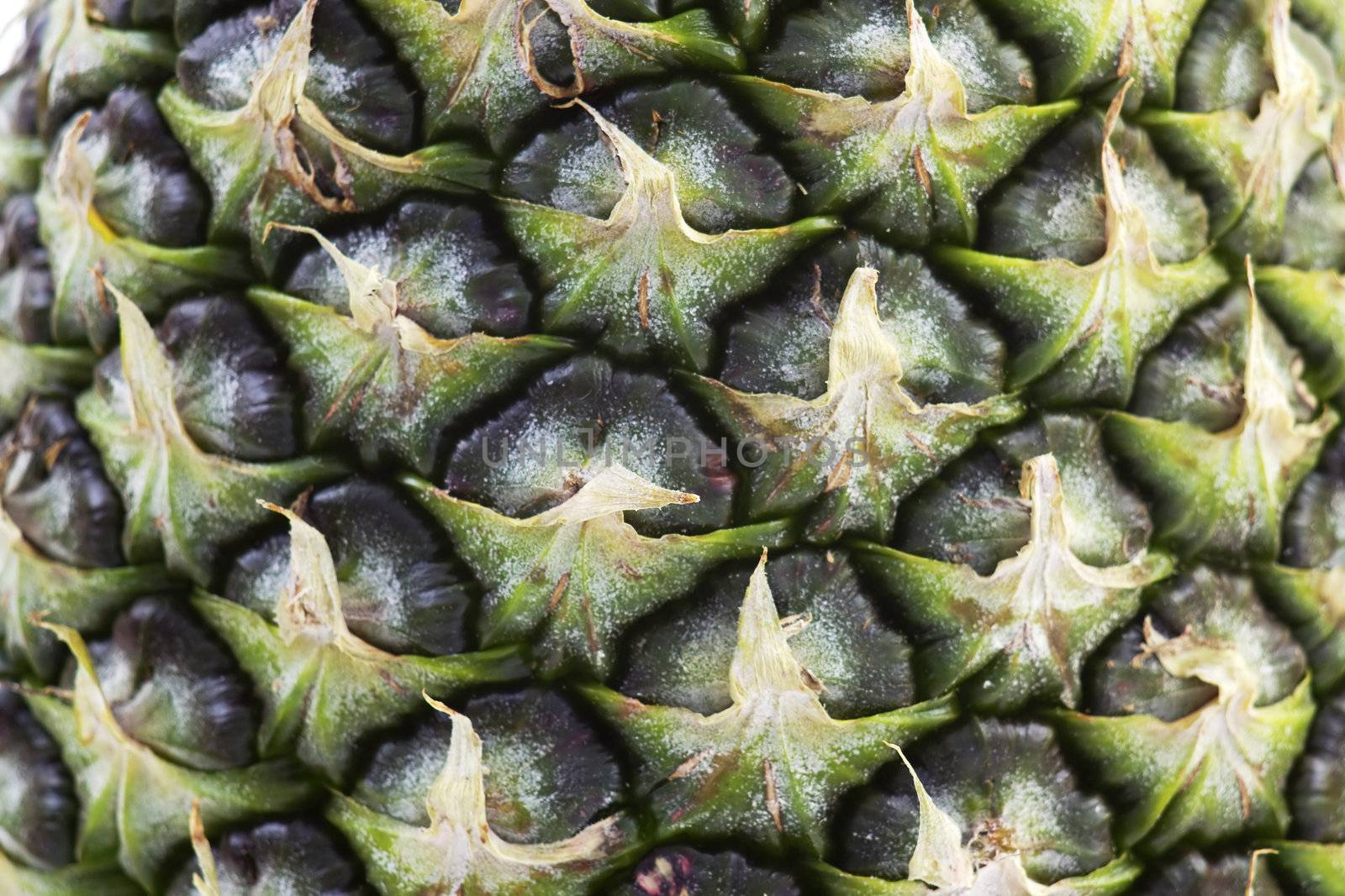pineapple - details