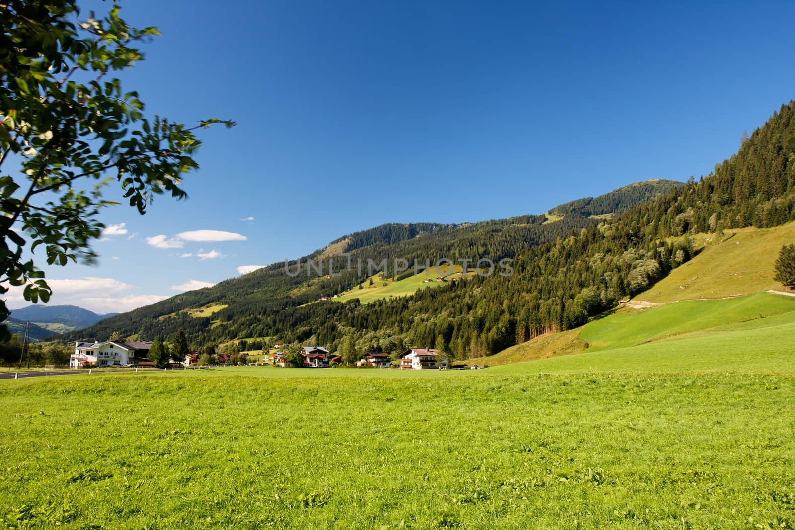 Alpine chalets and meadows under the mountains