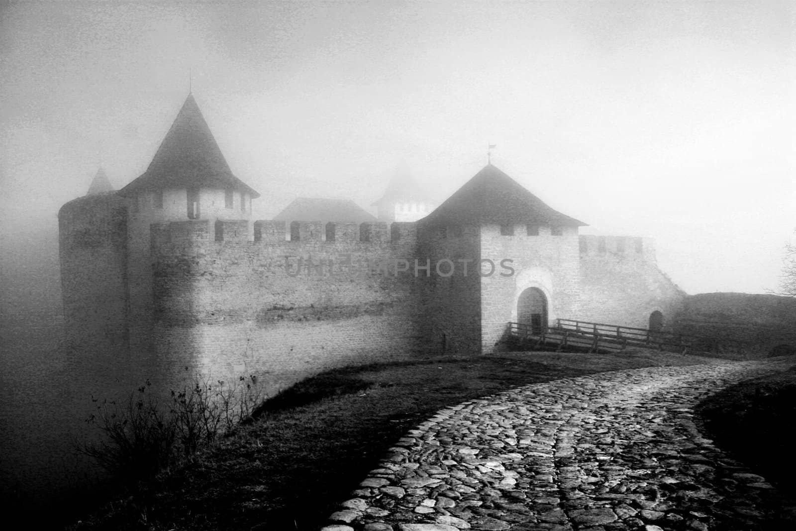 Ancient castle in a fog by igor_stramyk