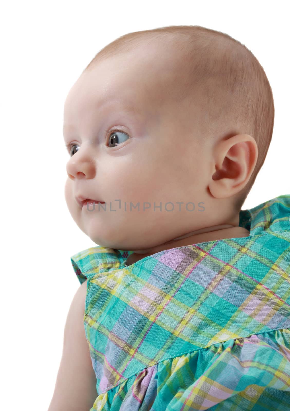 portrait of a cute caucasian baby girl, white background