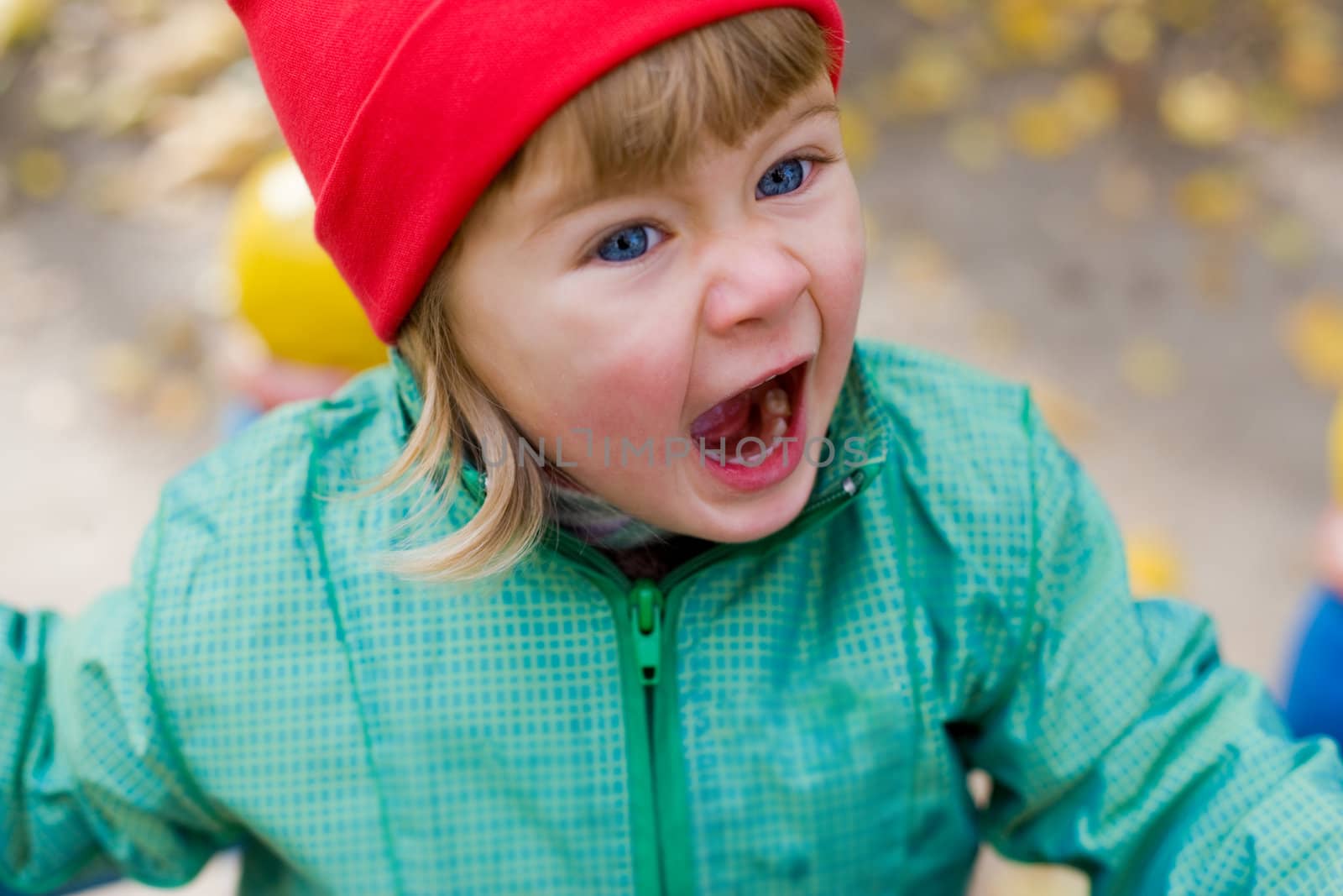 portrait of the little girl on red cap