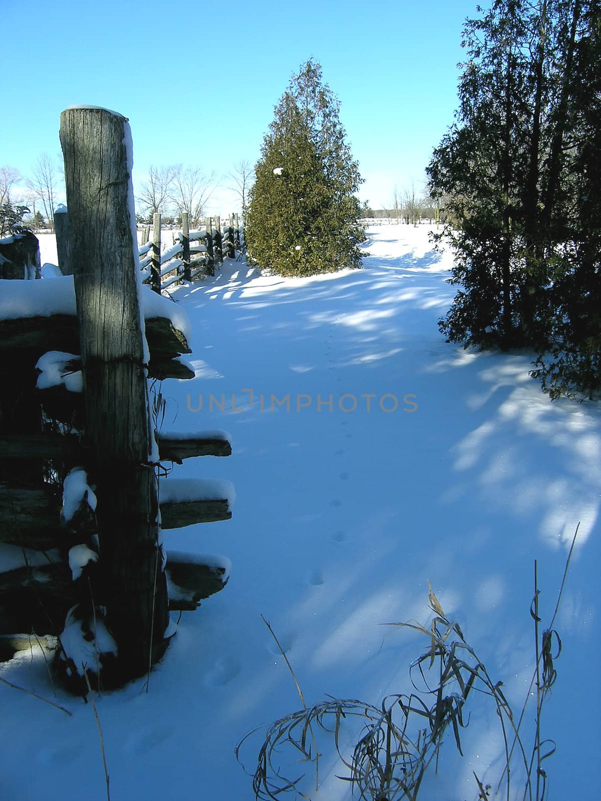 Wooden fence in the winter time. 