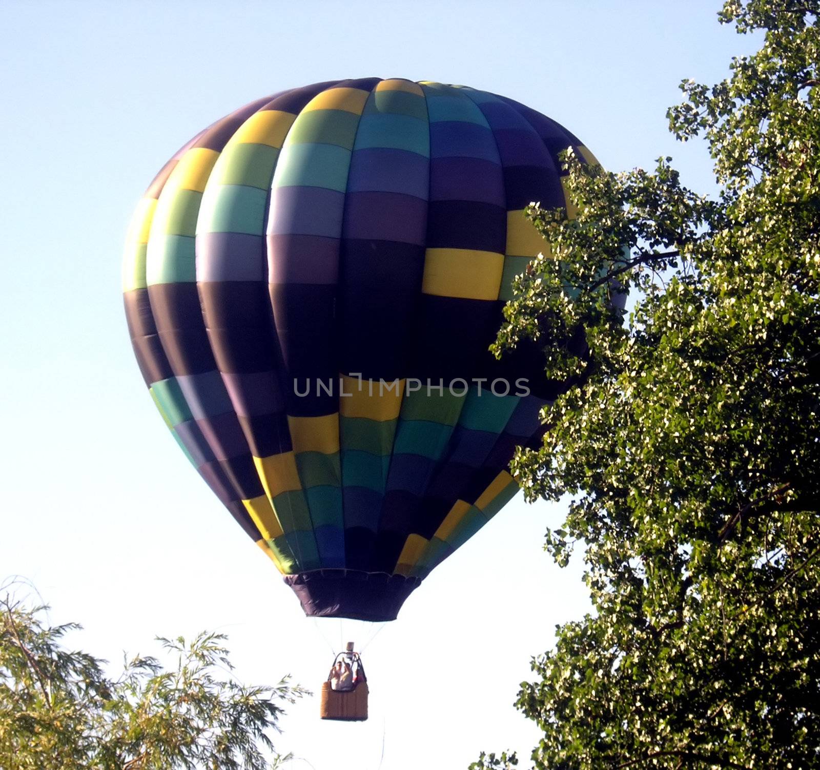 London Balloon Festival August 2007. 