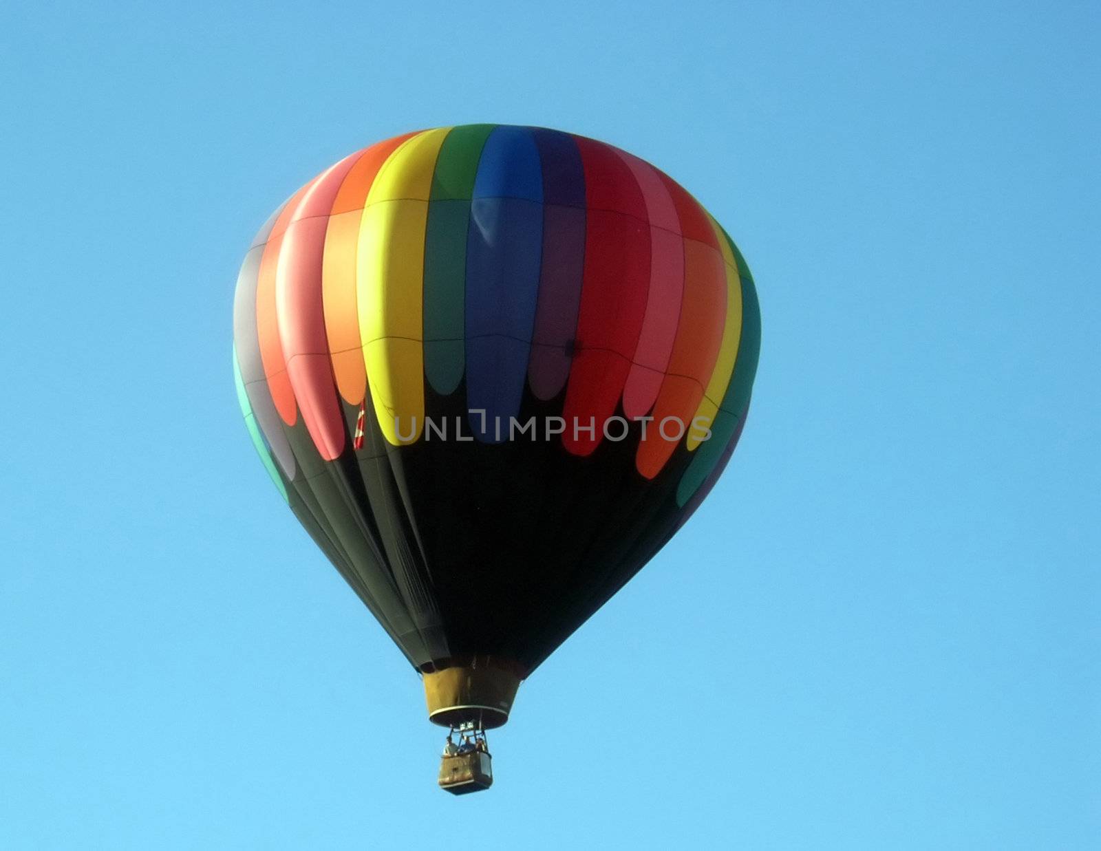London Balloon Festival August 2007. 