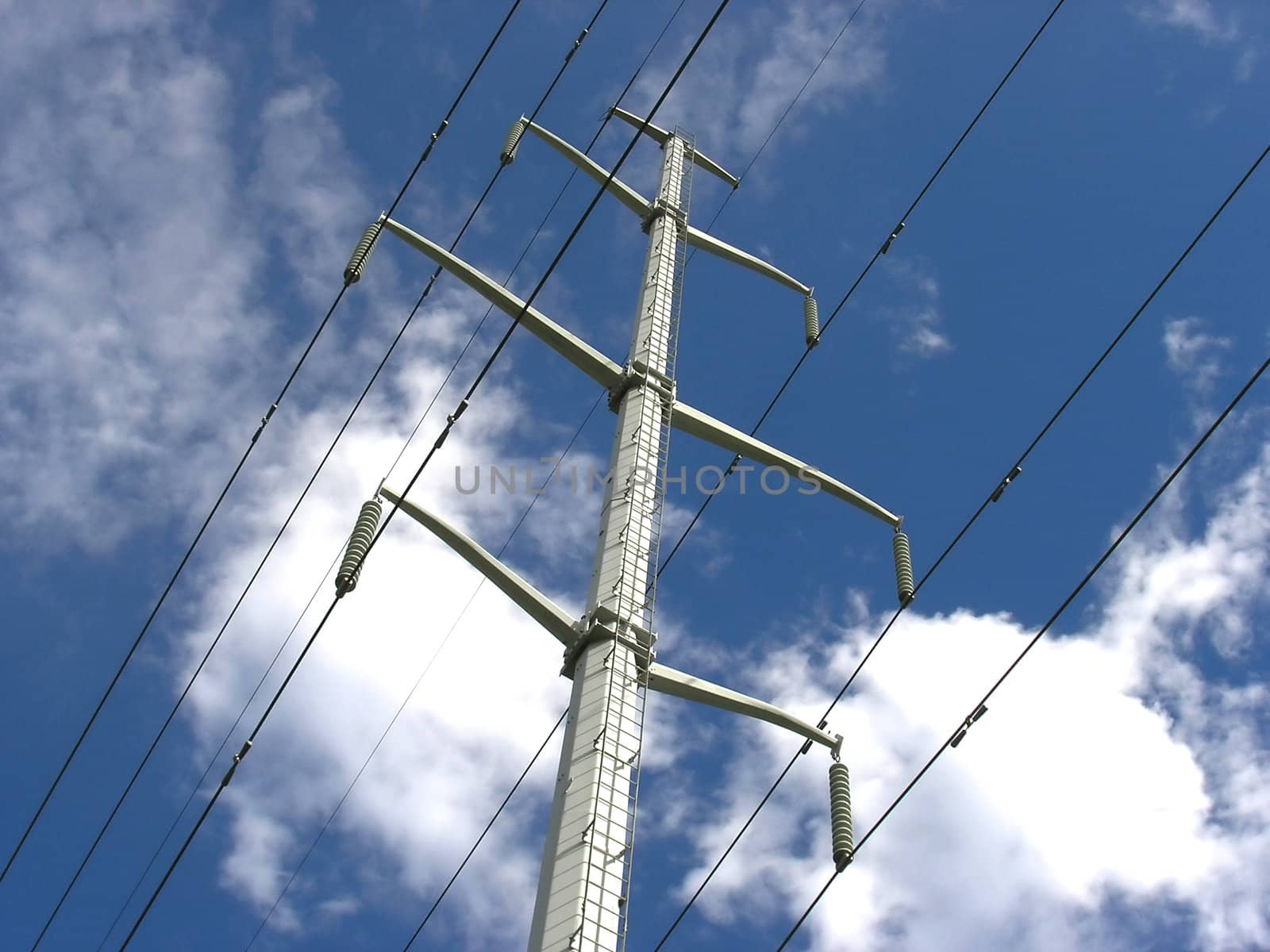 Power lines are the blood vessels of the modern world. 