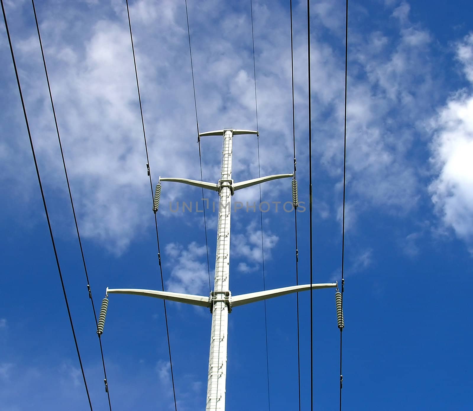 Power lines are the blood vessels of the modern world. 