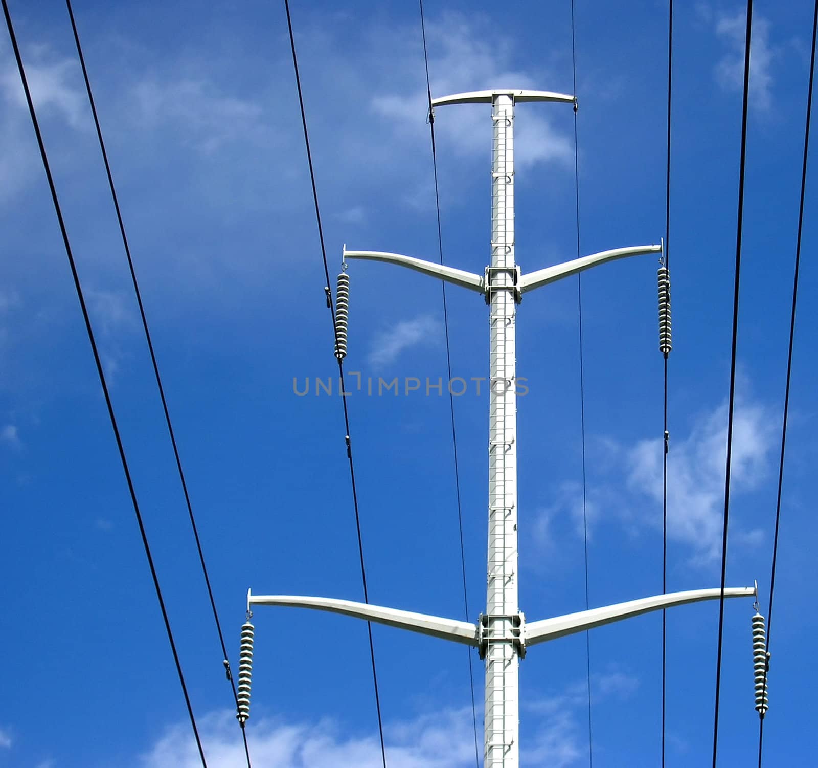 Power lines are the blood vessels of the modern world. 