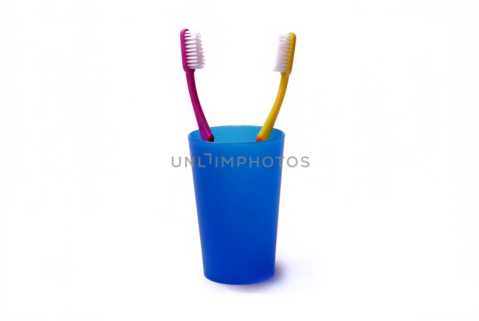 Toothbrushes in a color holder