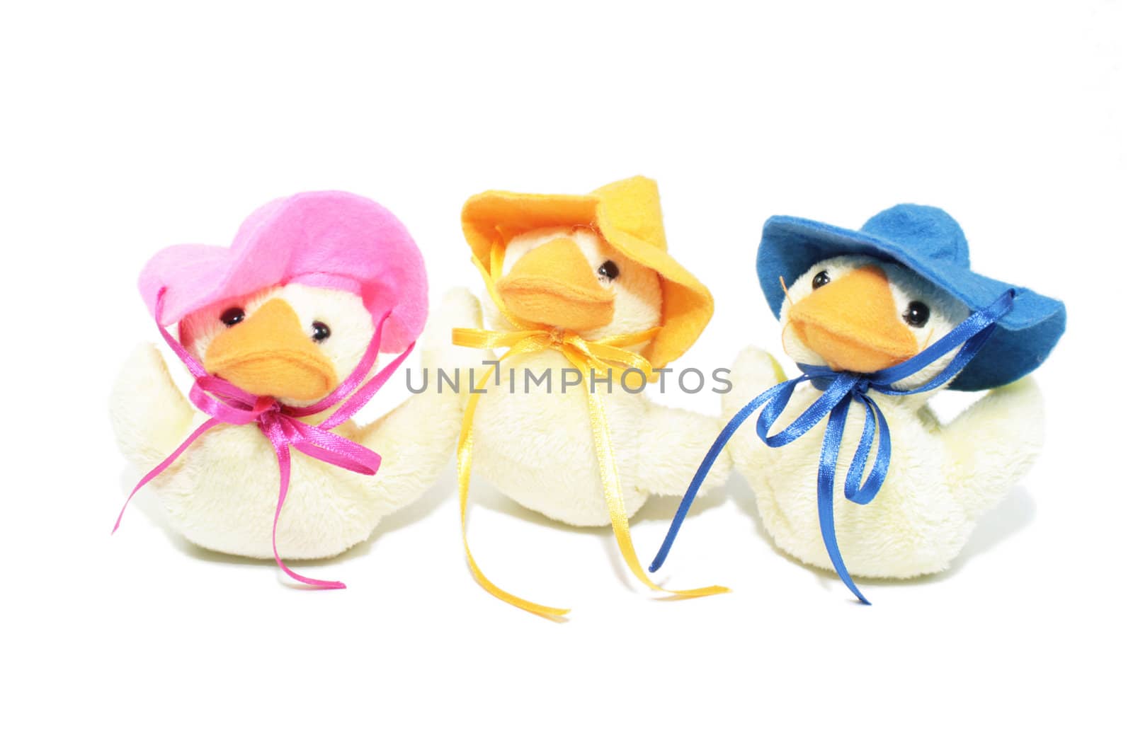 Three Easter ducklings wearing brightly coloured easter bonnets tied to their heads with ribbons. Isolated on a white background.