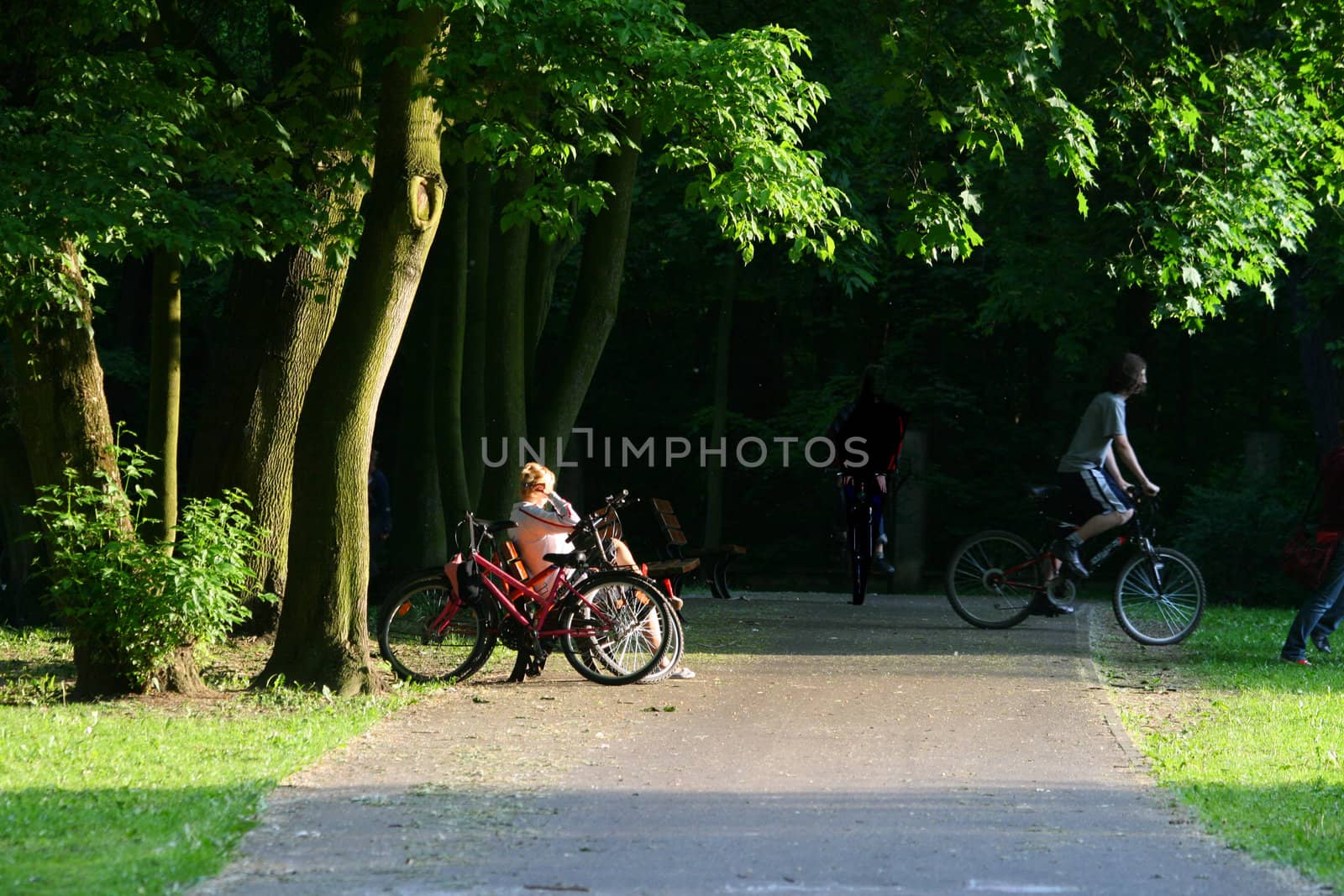 Group of cyclist at the park
