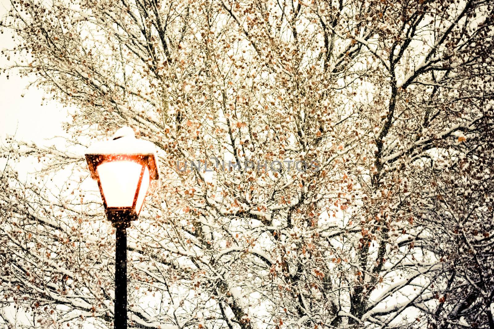 winter street light by toliknik