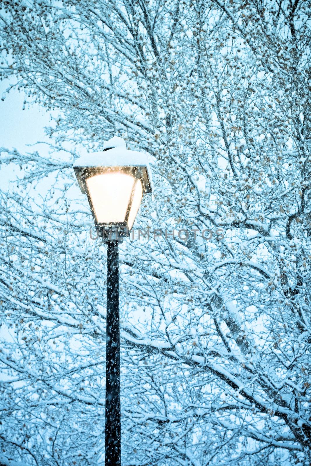 gorgeous snow grains and winter street light