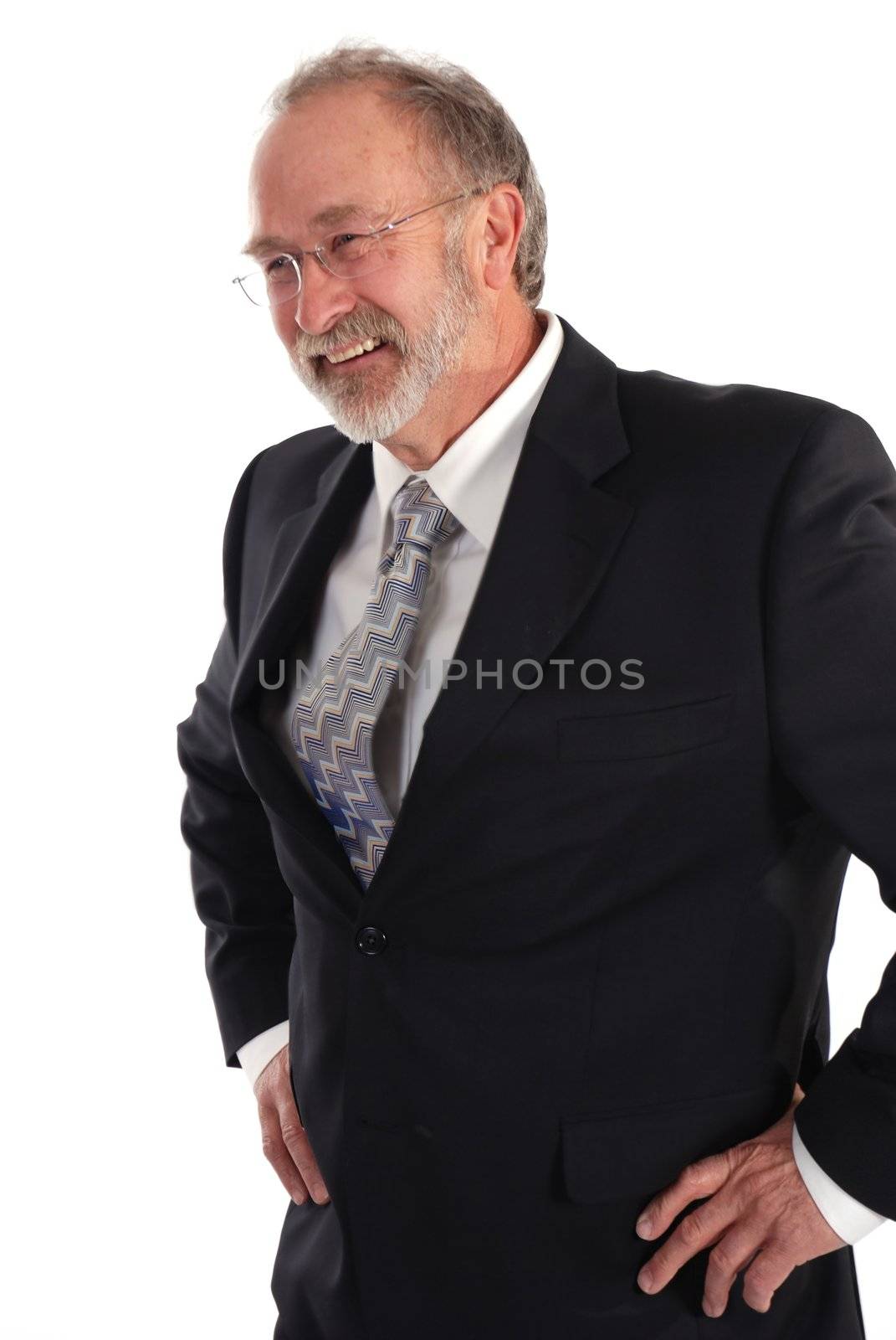 Portrait of a senior businessman