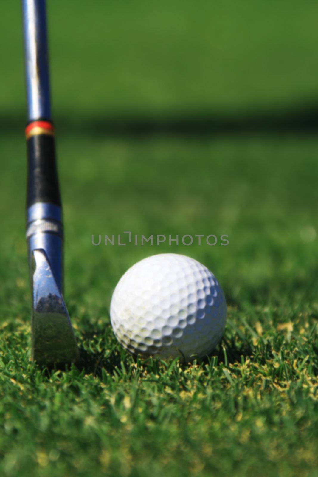 An Iron club preparing to hit a golf ball