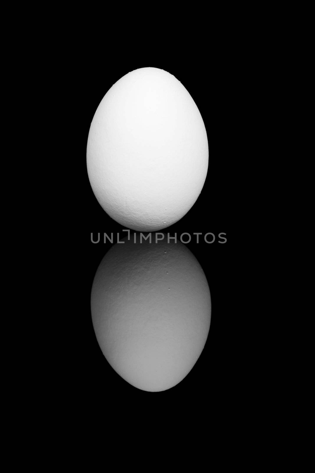 white egg on black background with reflection