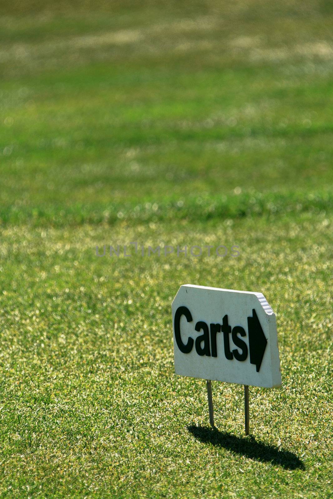 Golf cart sign by dnsphotography