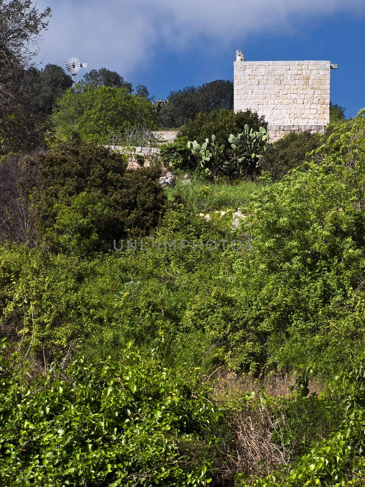 Typical Maltese farmhouse surrounded by wild green growth