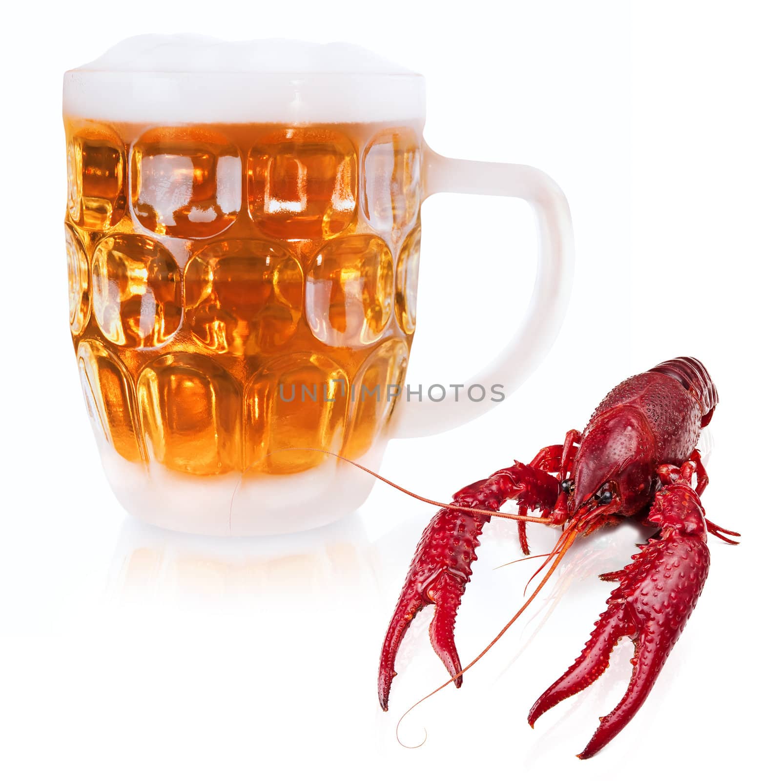red boiled crawfish and mug of beer over the white