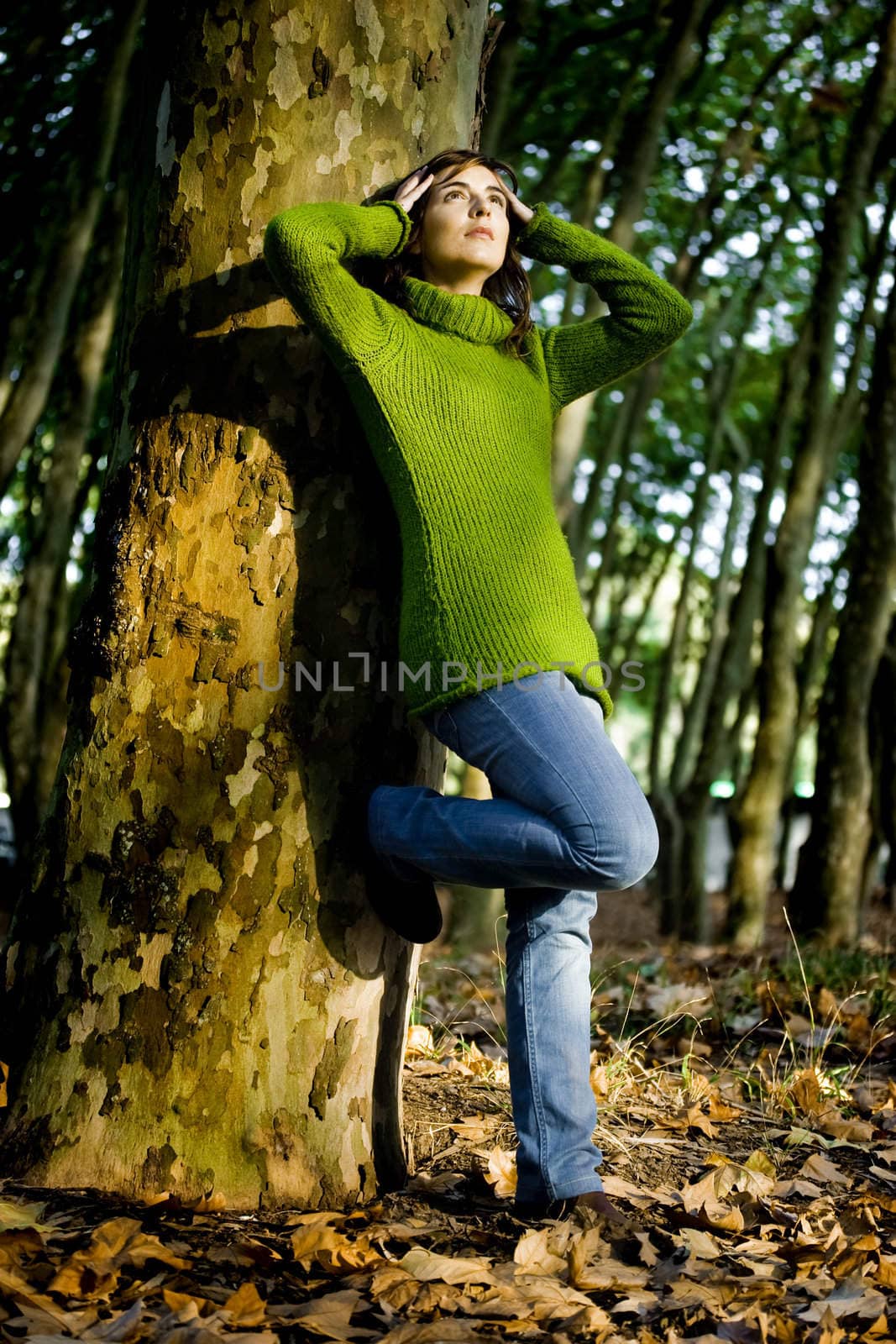 Autumn portrait of a beautiful young woman close to a tree